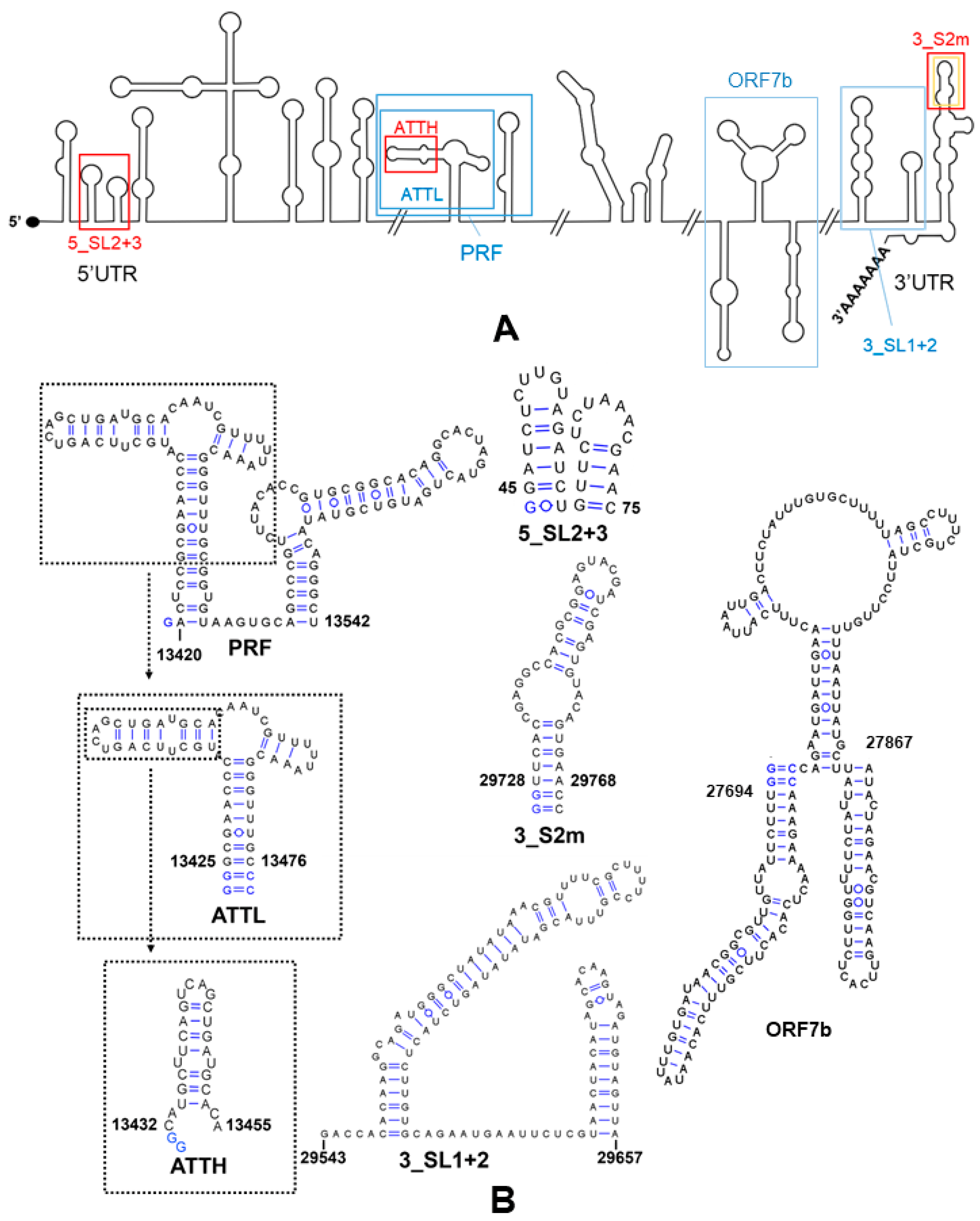 Pharmaceuticals 15 01448 g003 Pharmaceuticals 15 01448 g003