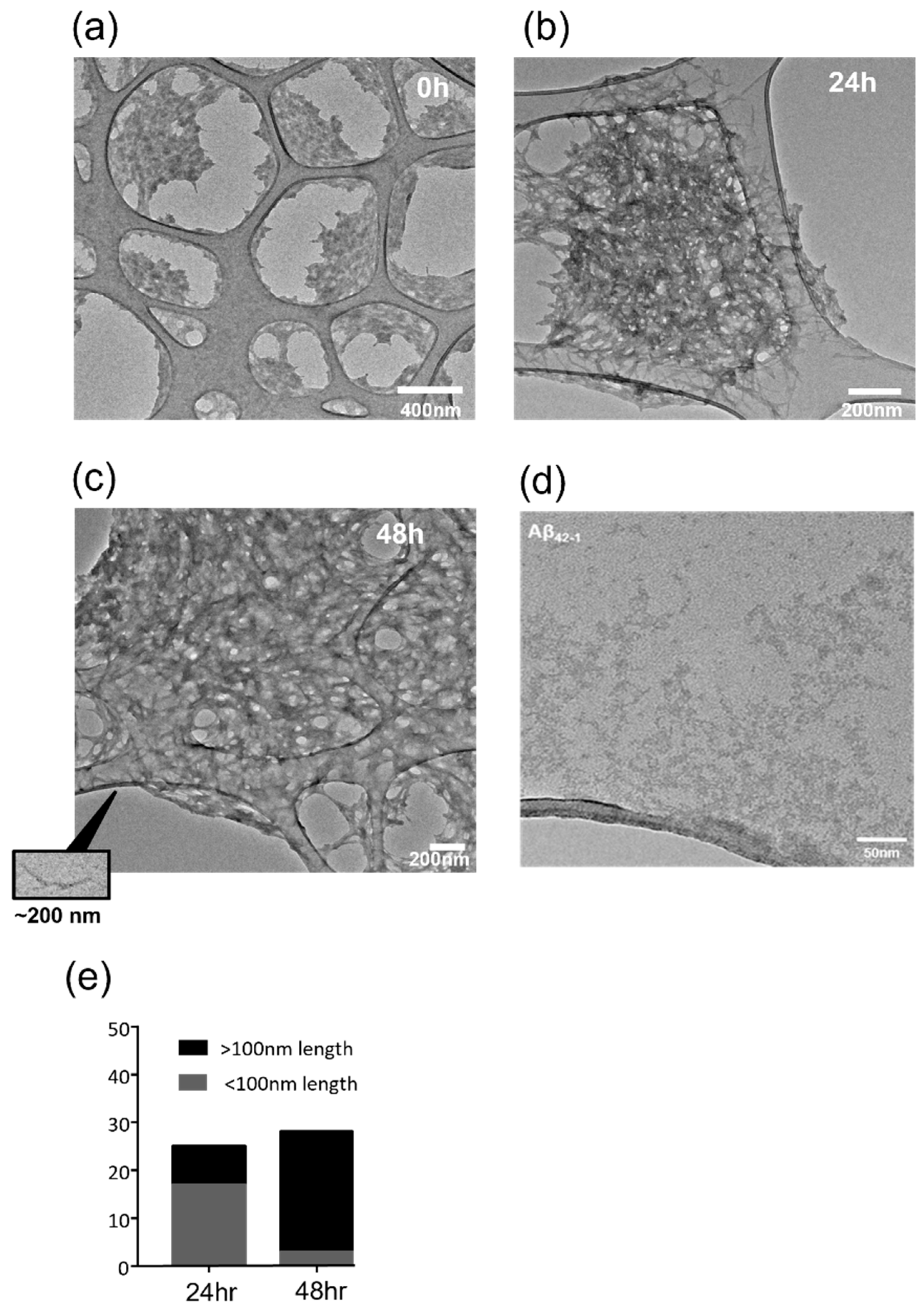 Pharmaceuticals 15 01459 g001