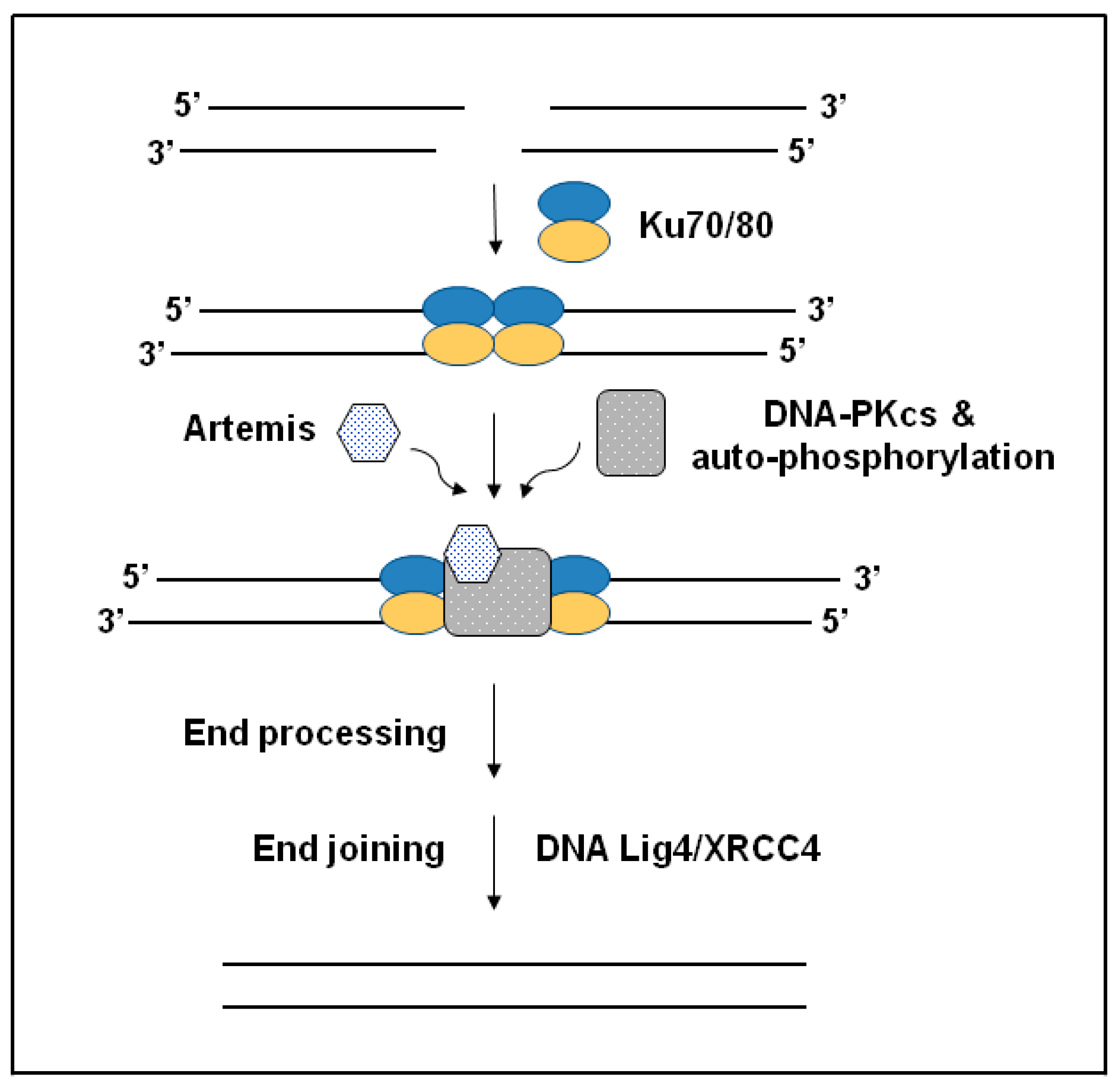 Pharmaceuticals 15 01475 g002