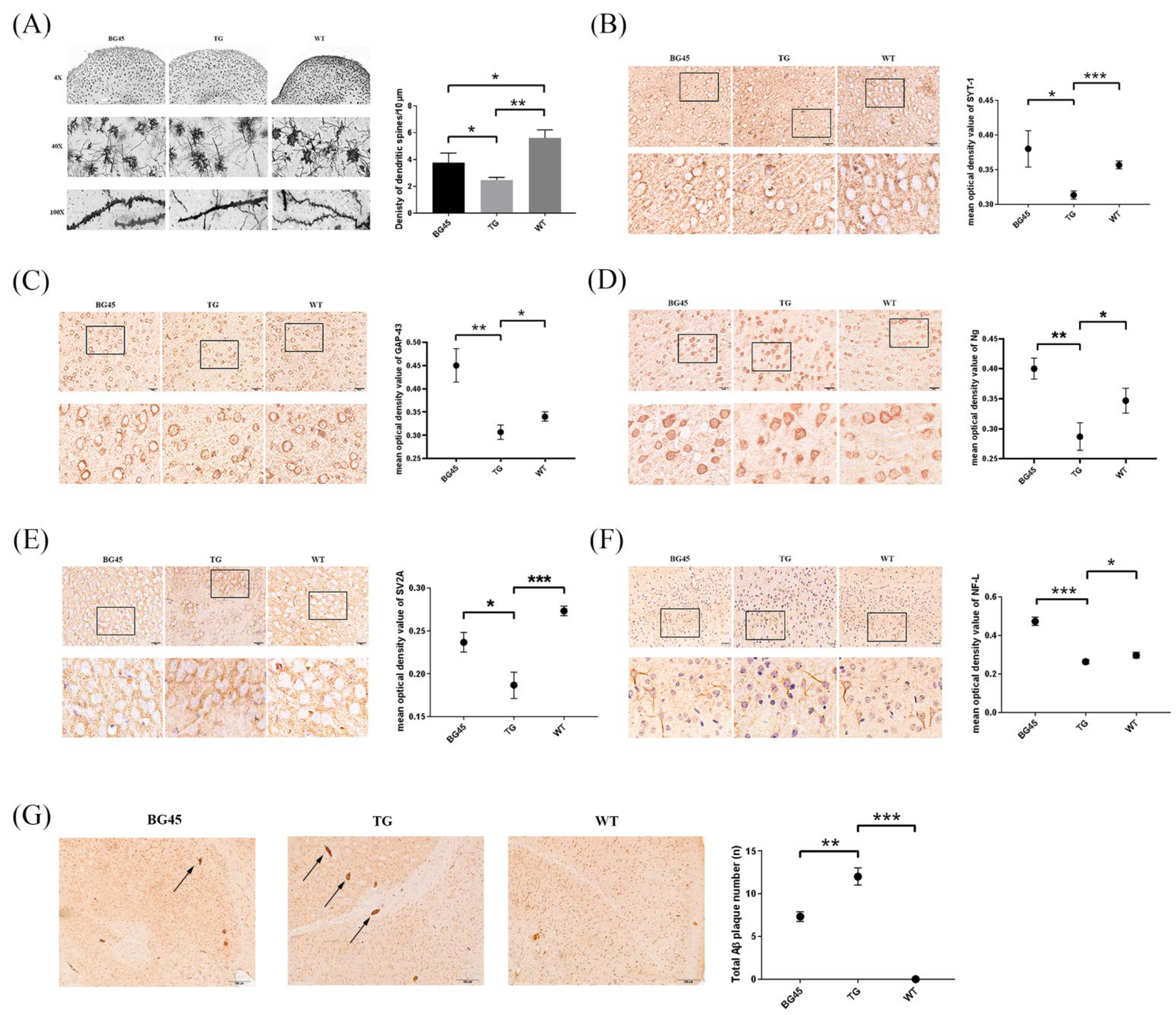 Pharmaceuticals 15 01481 g004