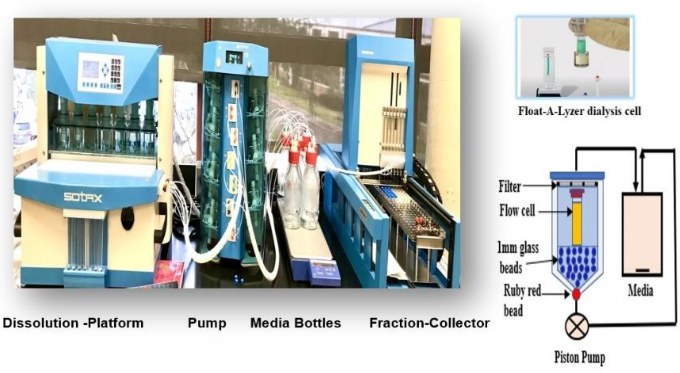 Pharmaceuticals 15 01489 g002 Pharmaceuticals 15 01489 g002