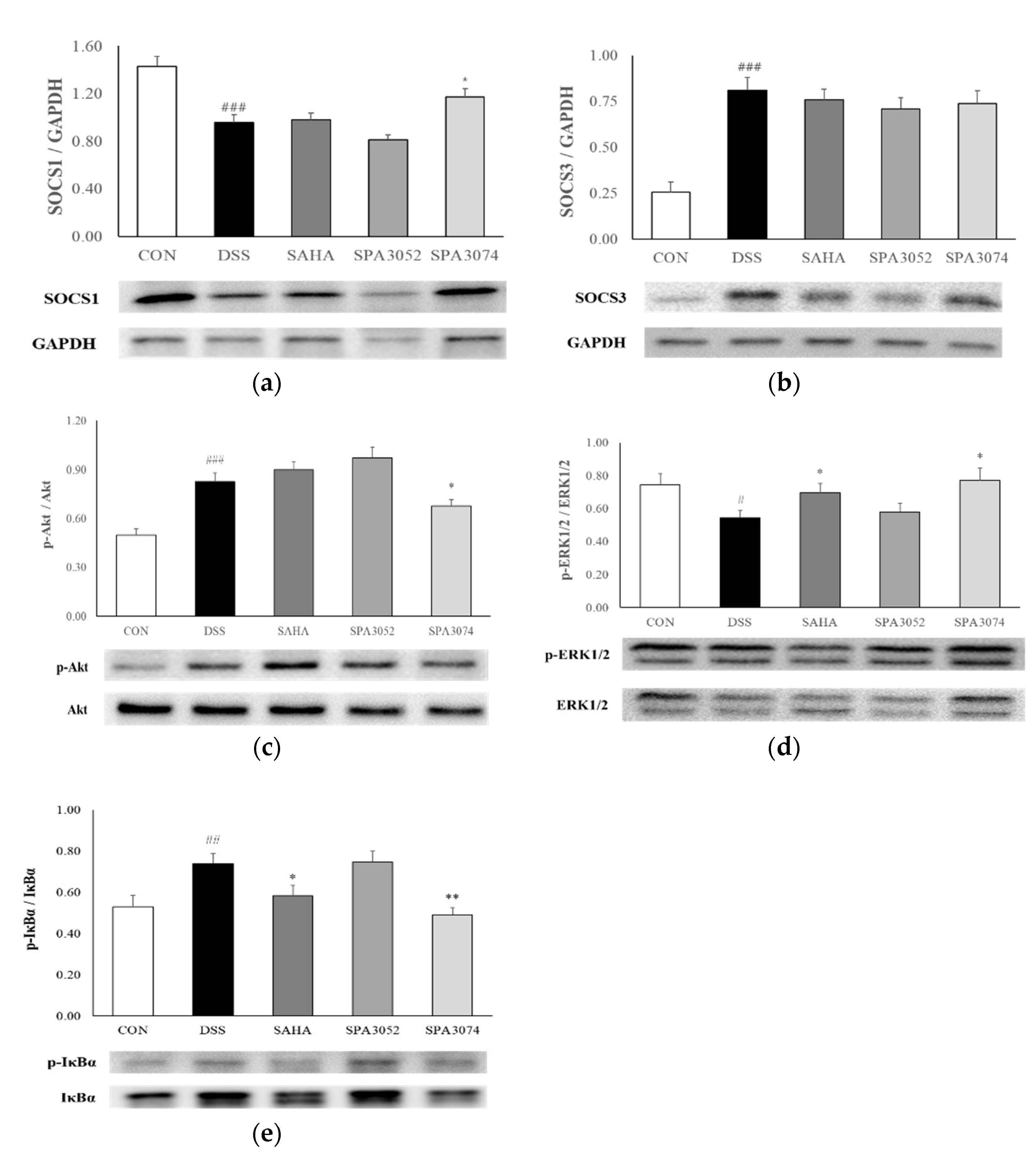 Pharmaceuticals 15 01515 g004