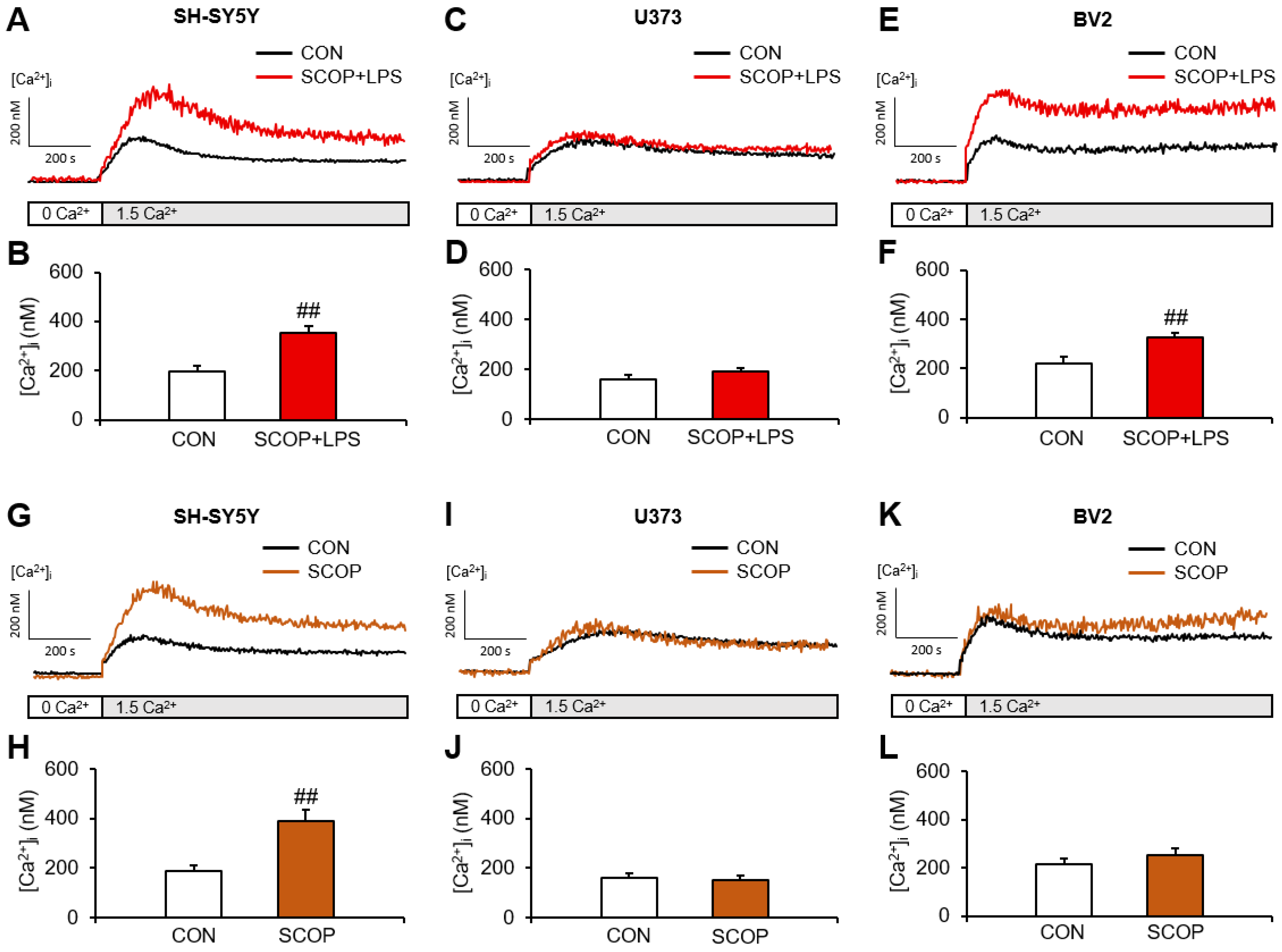 Pharmaceuticals 15 01521 g001