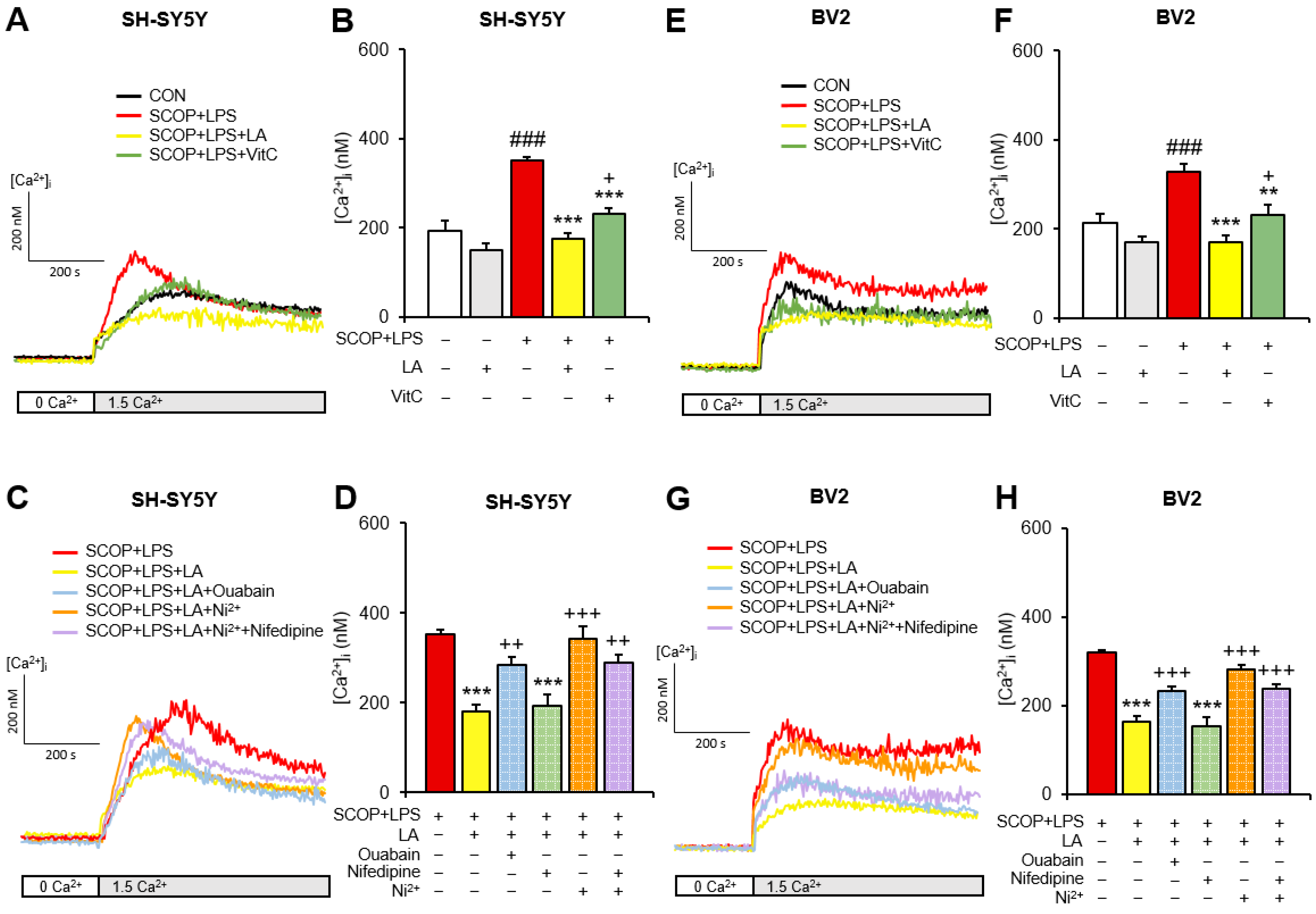 Pharmaceuticals 15 01521 g002