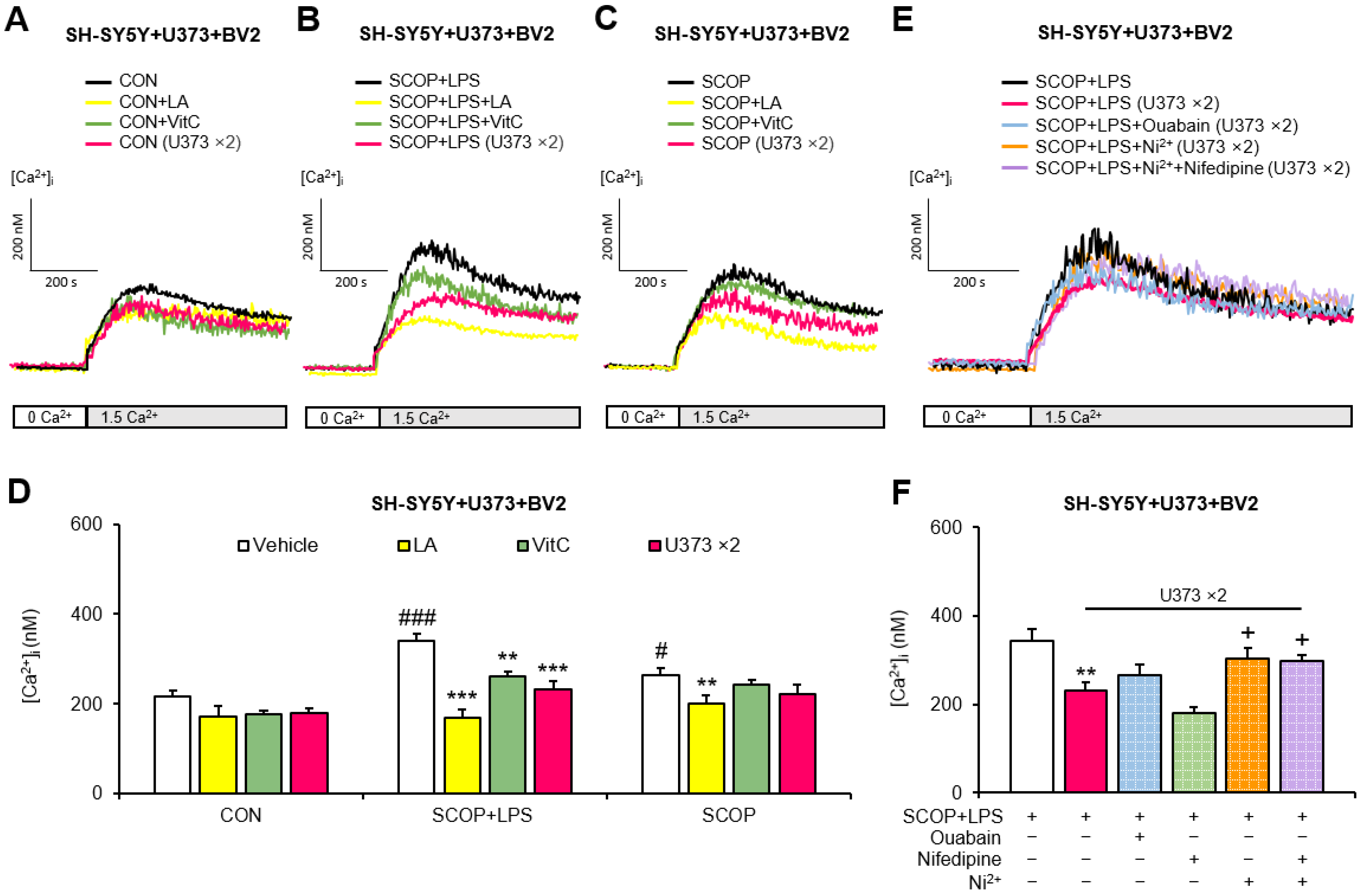 Pharmaceuticals 15 01521 g003