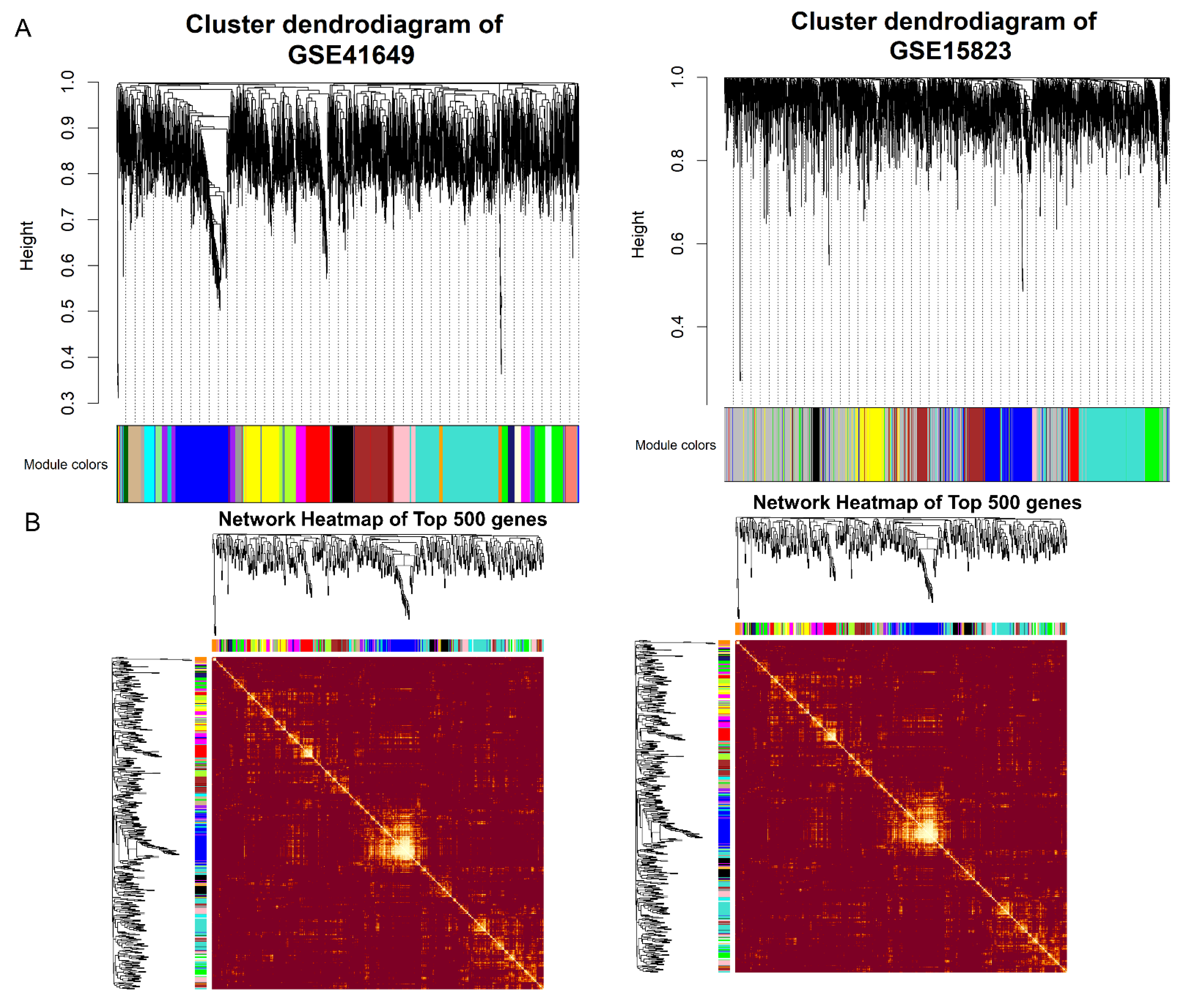 Pharmaceuticals 15 01522 g006