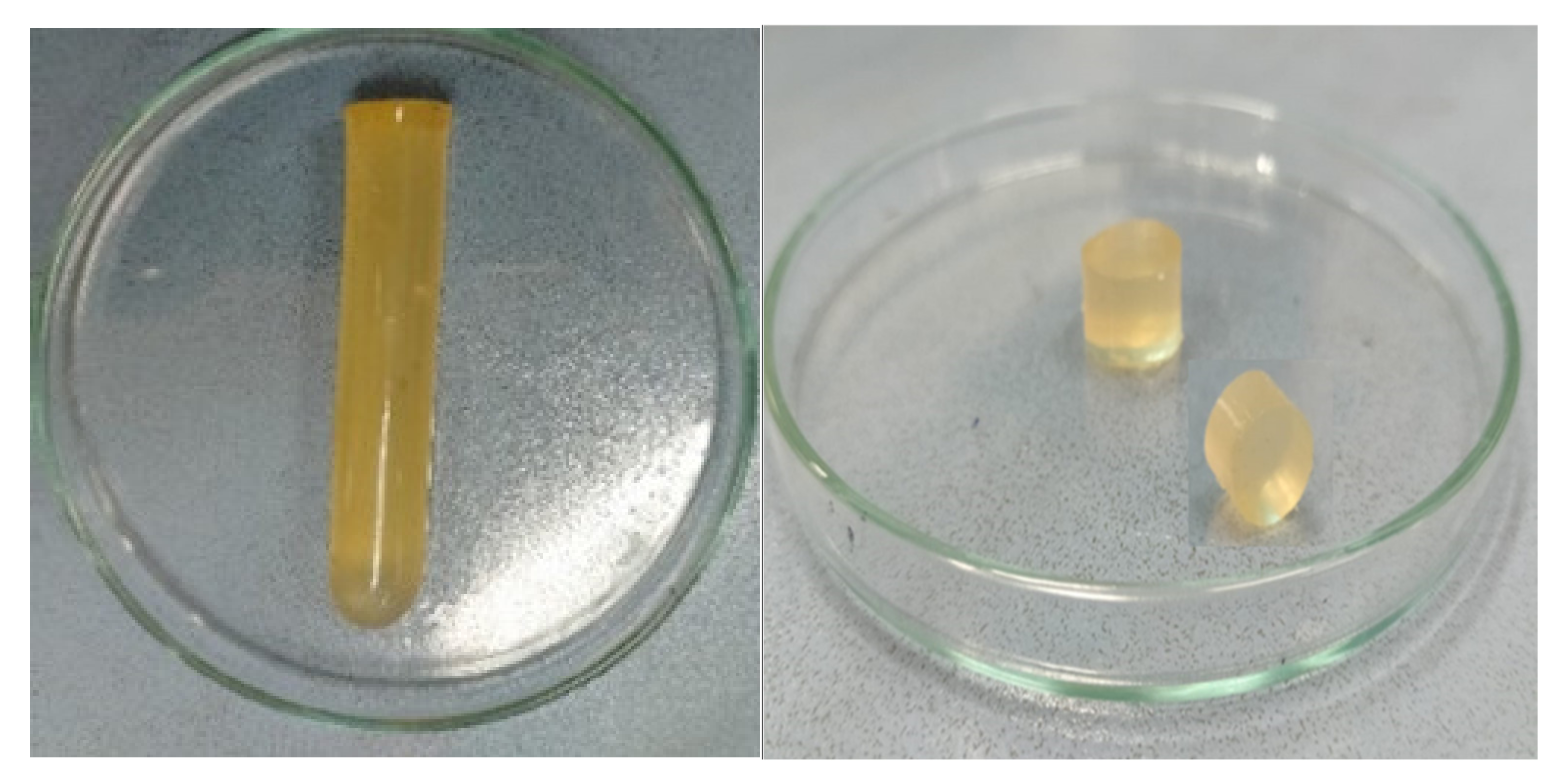 Pharmaceuticals 15 01527 g001