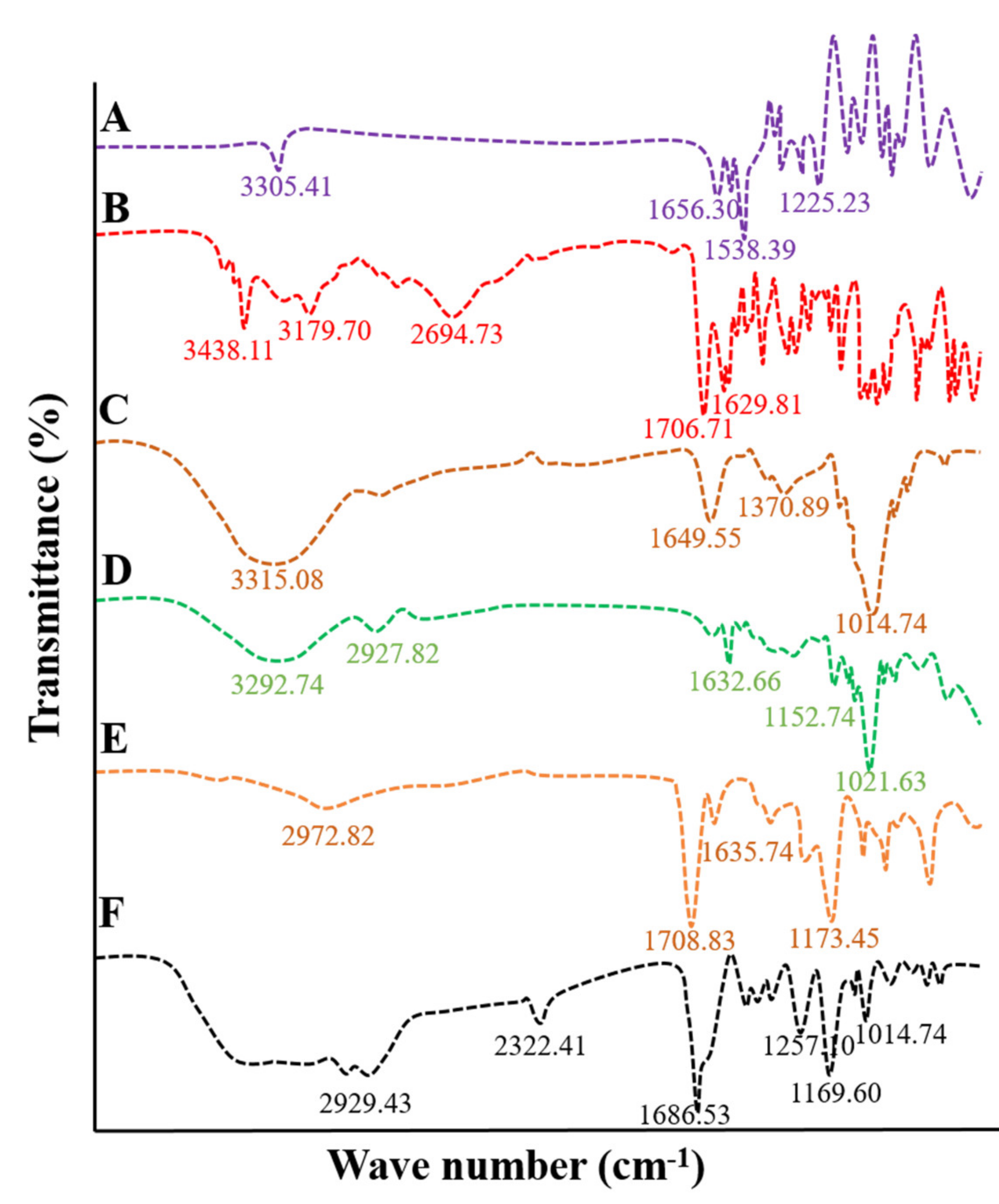 Pharmaceuticals 15 01527 g002