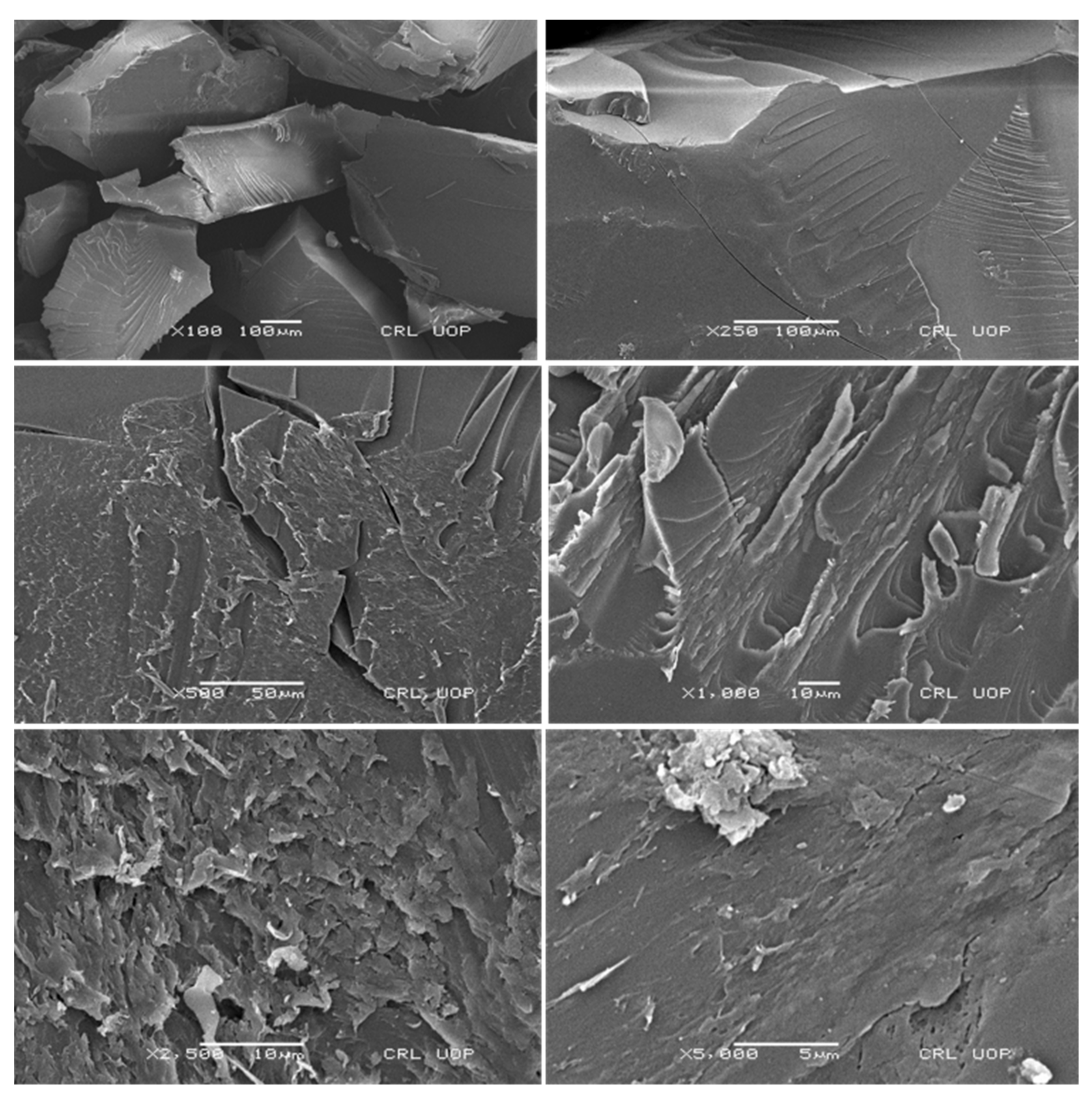 Pharmaceuticals 15 01527 g007