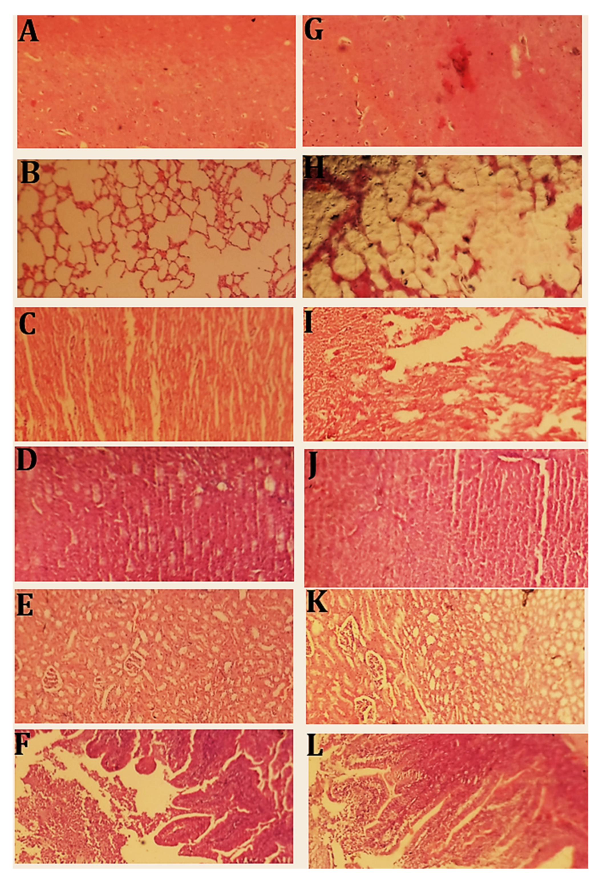 Pharmaceuticals 15 01527 g012