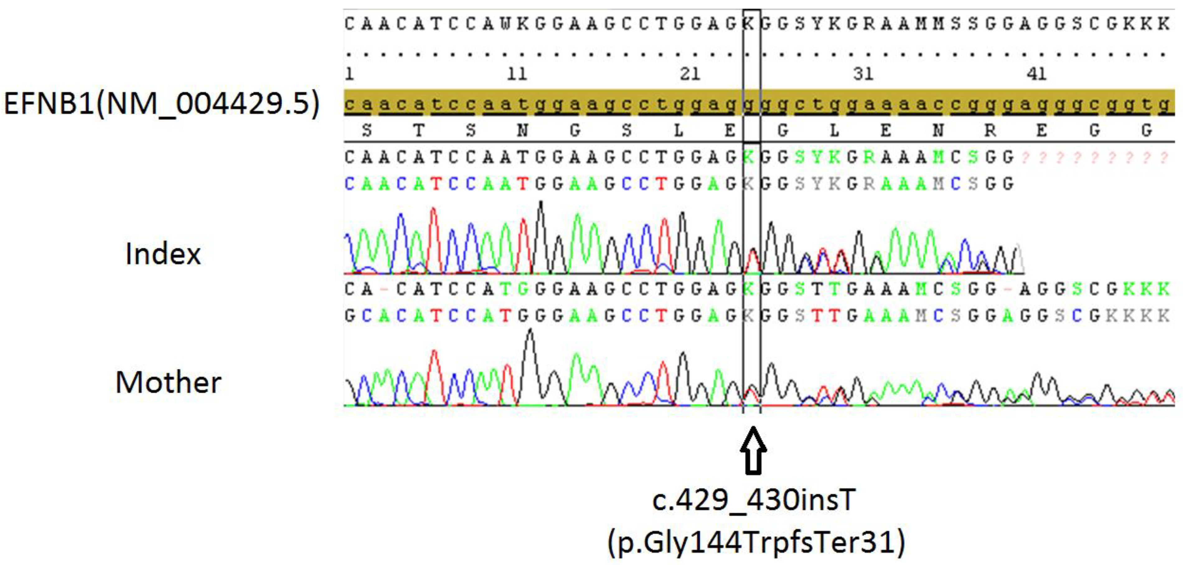 Pharmaceuticals 15 01535 g004 Pharmaceuticals 15 01535 g004