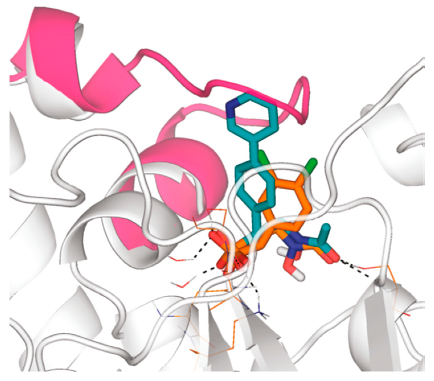 Pharmaceuticals 15 01553 g019 Pharmaceuticals 15 01553 g019