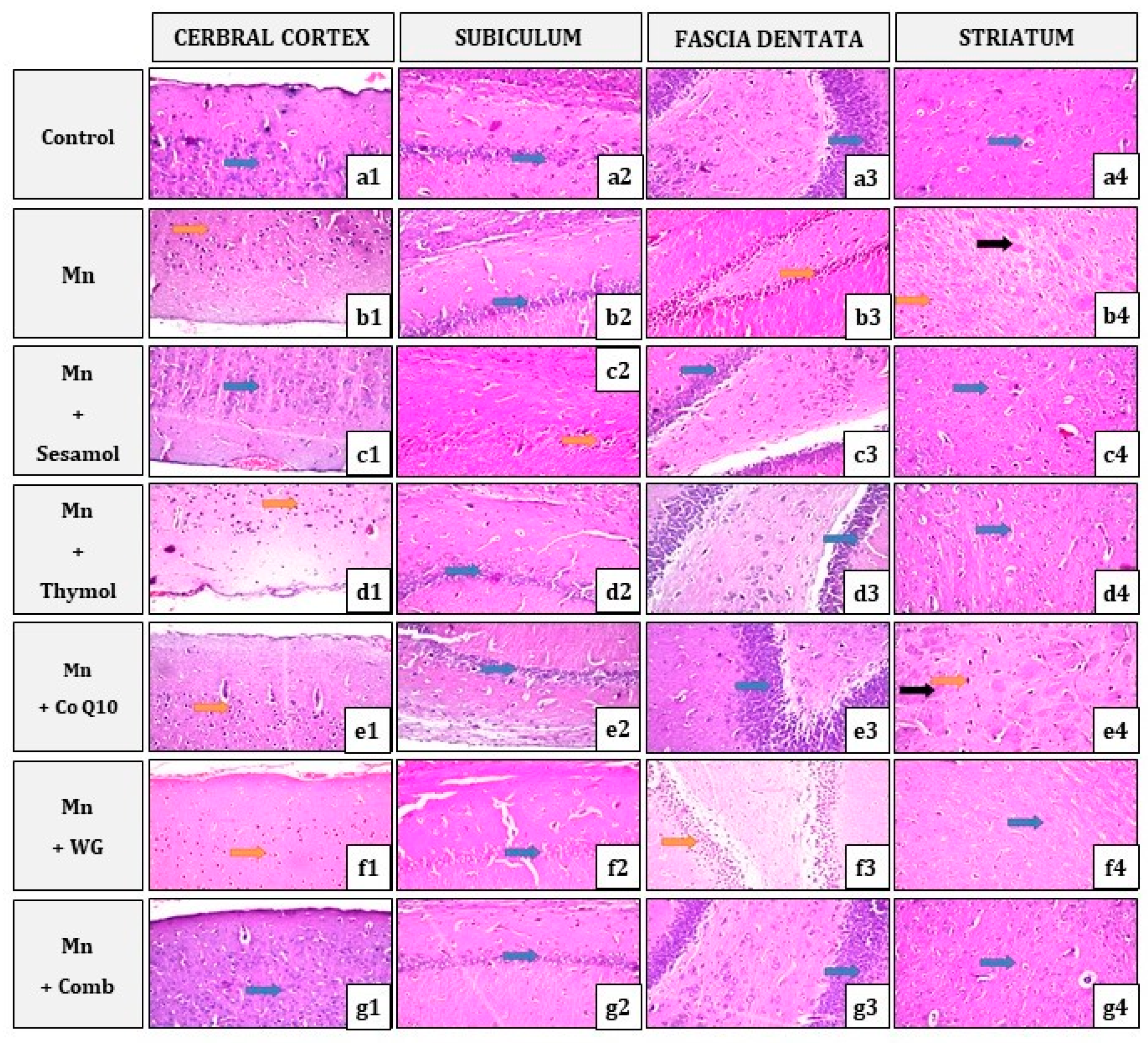 Pharmaceuticals 15 01554 g009