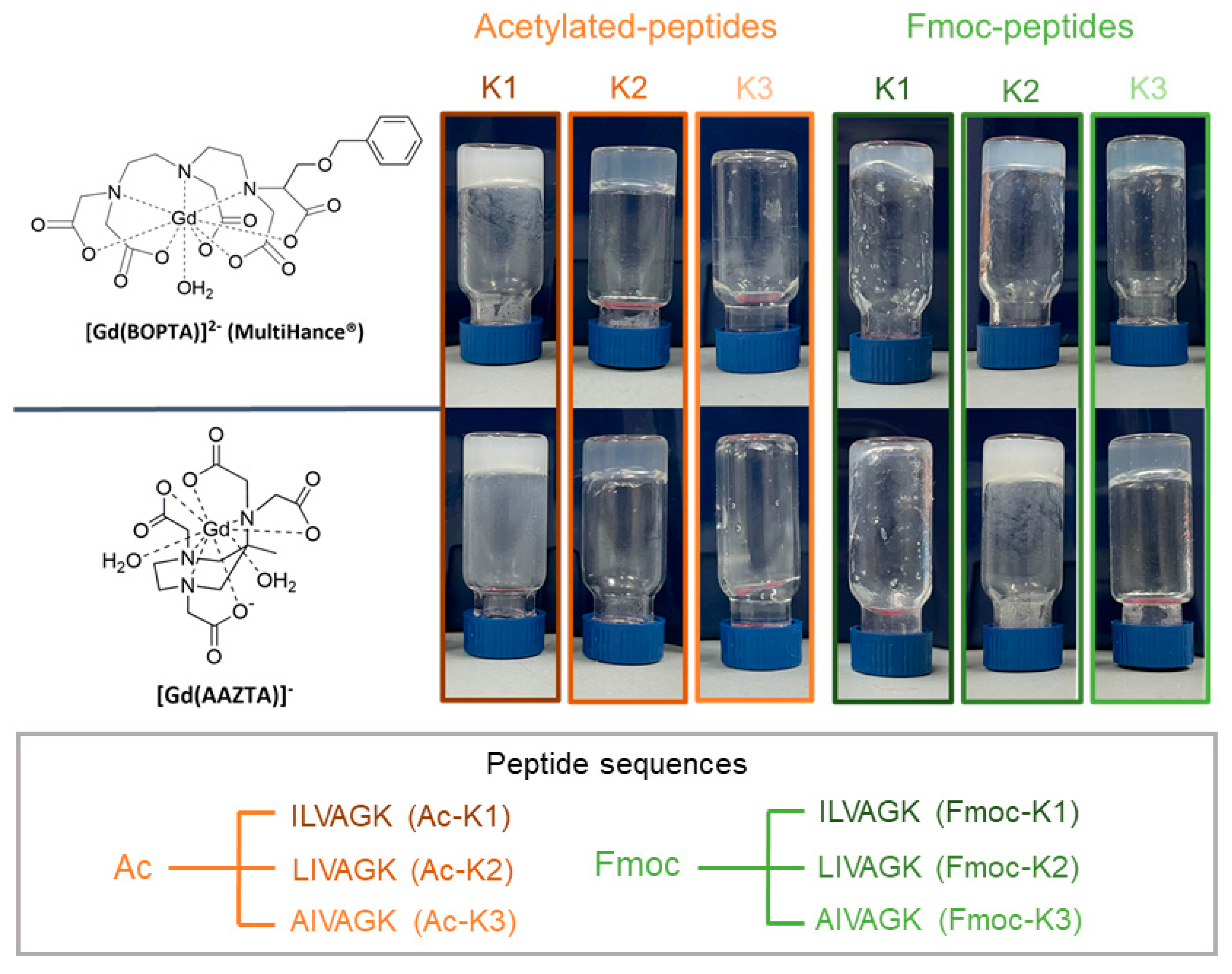 Pharmaceuticals 15 01572 g001