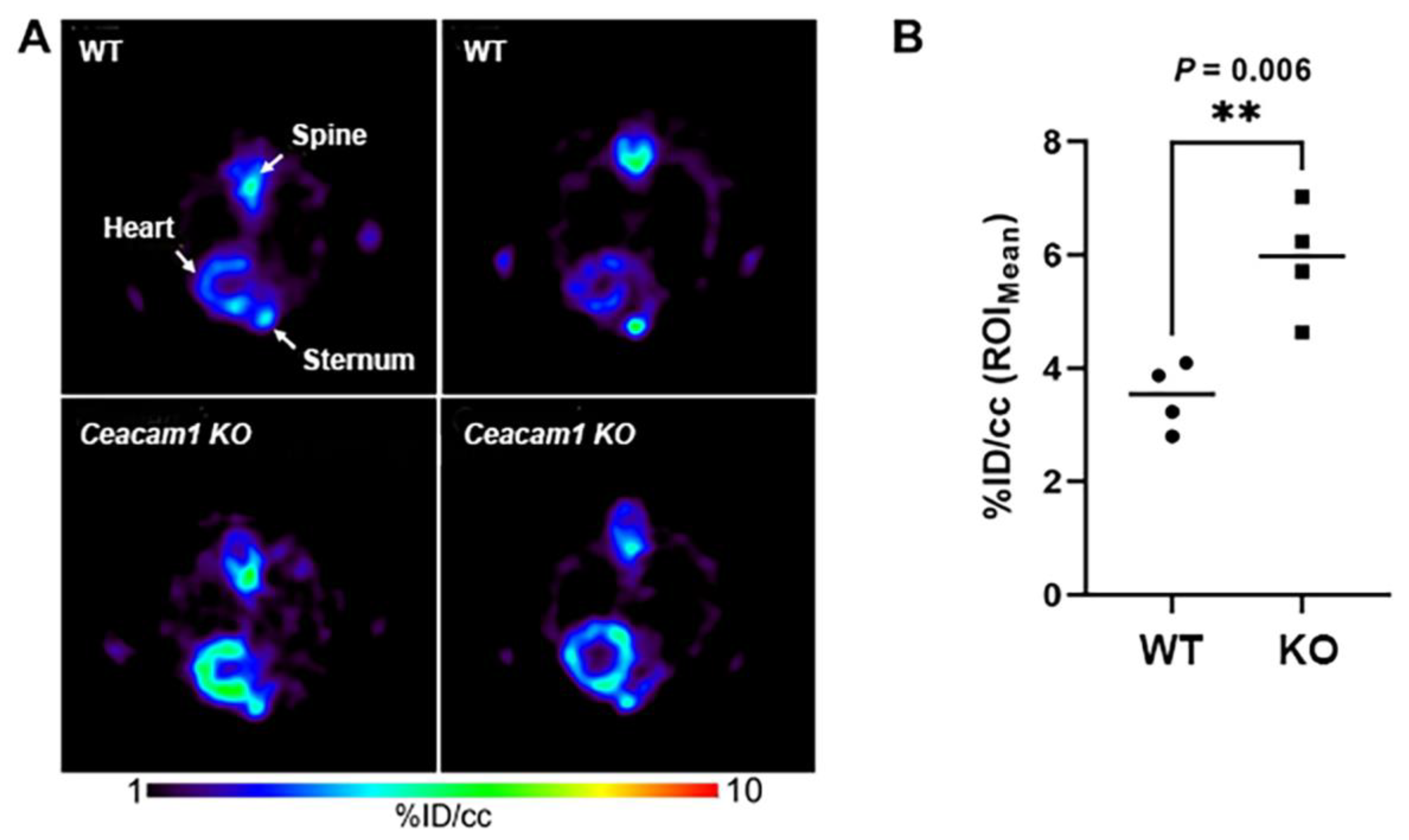 Pharmaceuticals 15 01577 g003