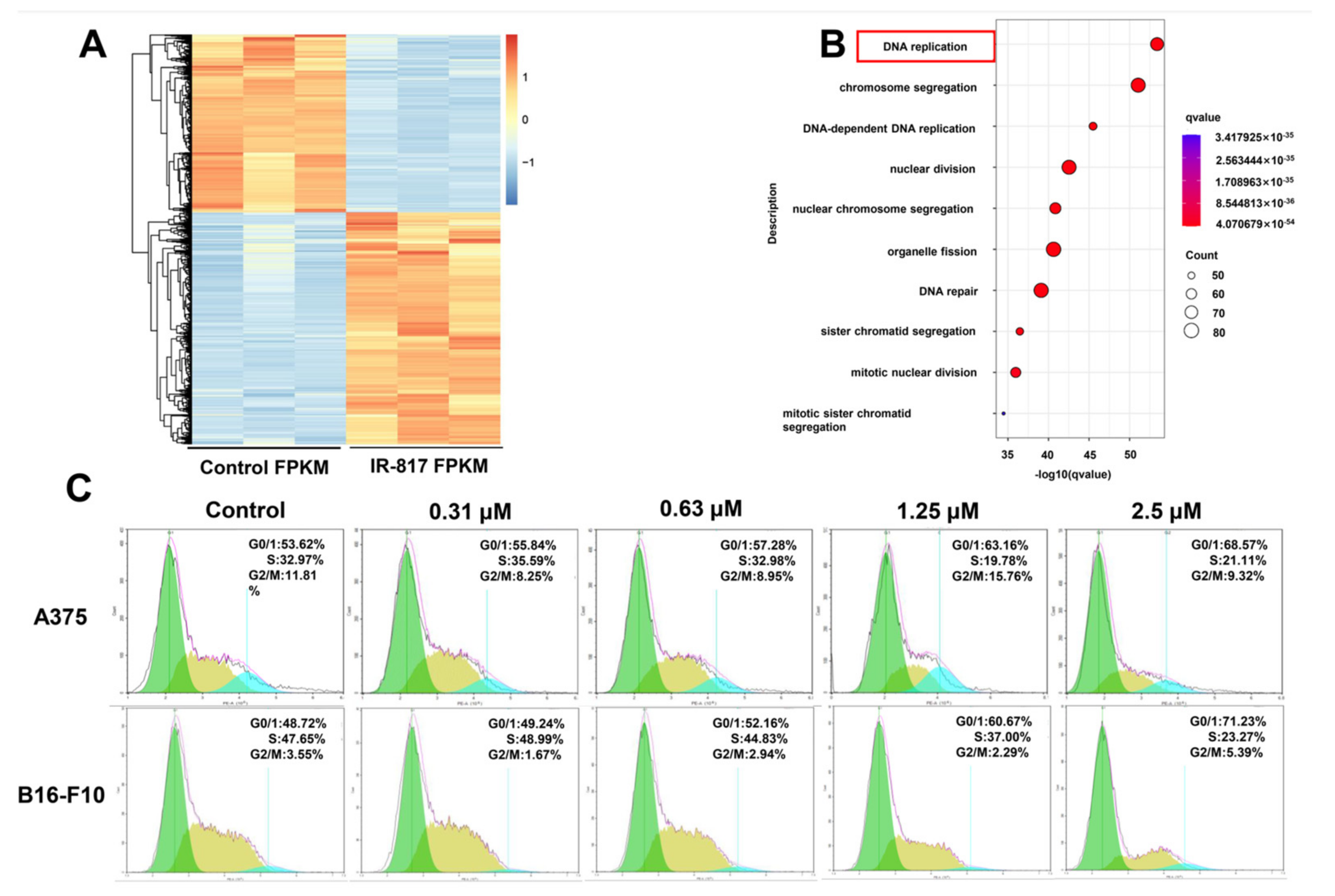 Pharmaceuticals 15 01589 g005