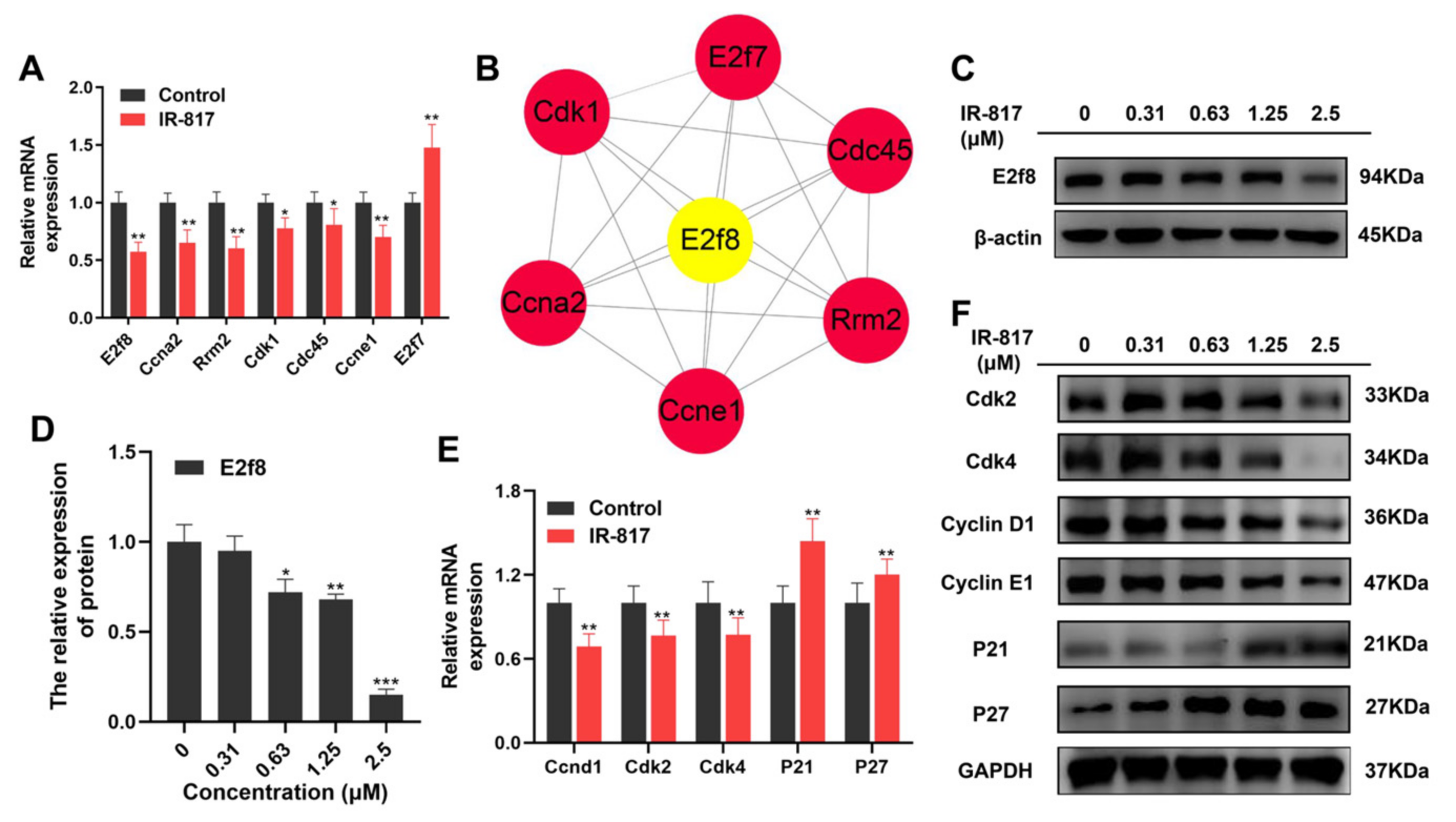 Pharmaceuticals 15 01589 g006