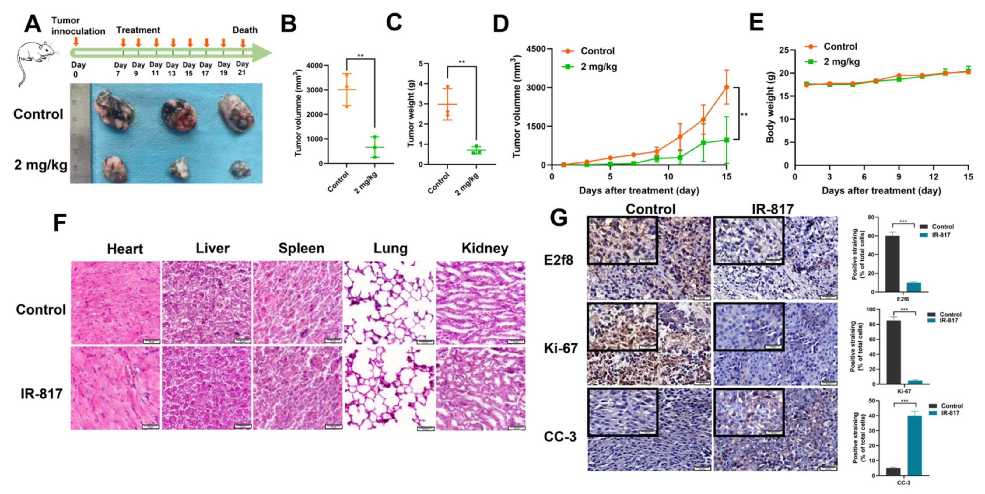 Pharmaceuticals 15 01589 g008