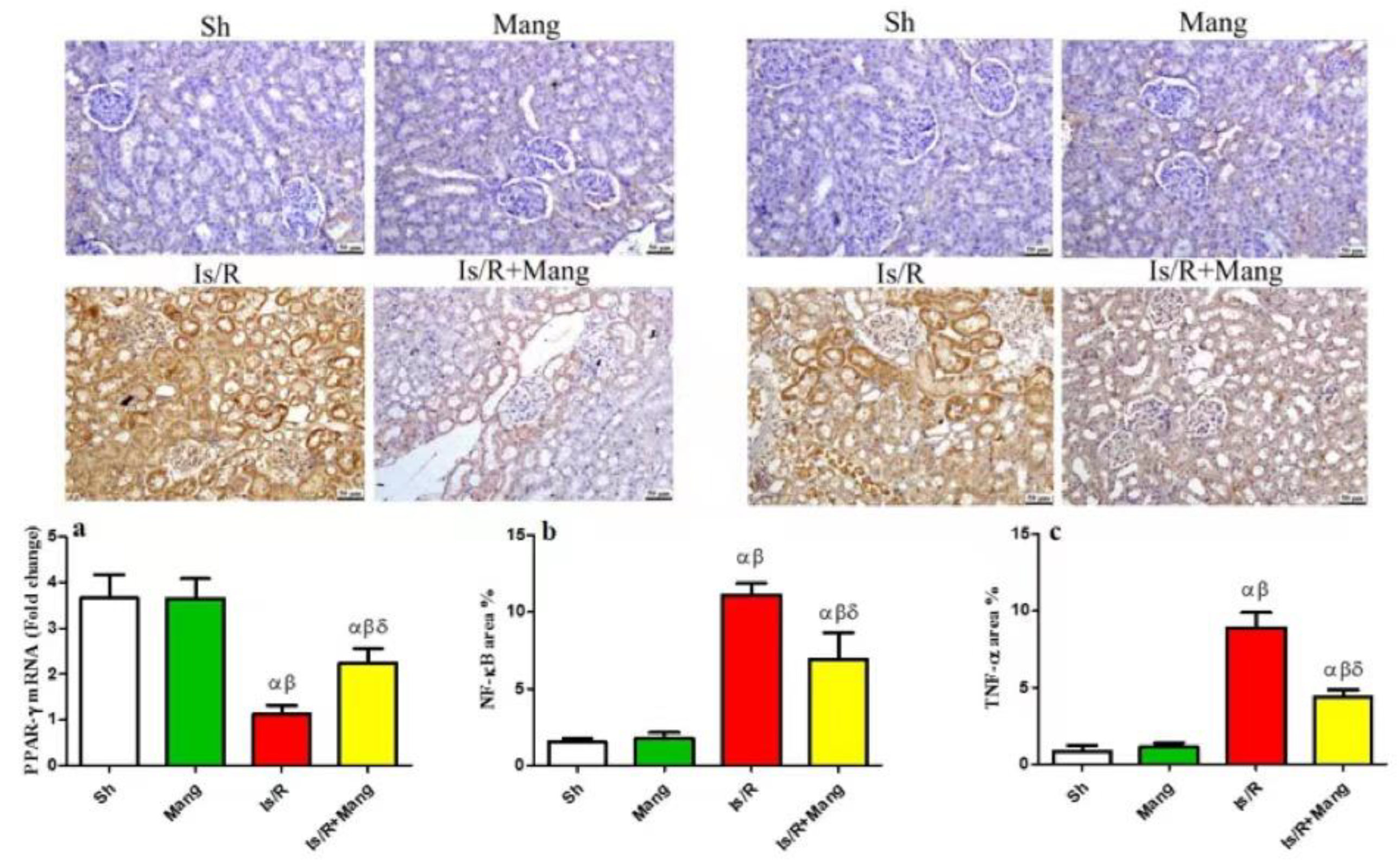 Pharmaceuticals 16 00006 g004 Pharmaceuticals 16 00006 g004