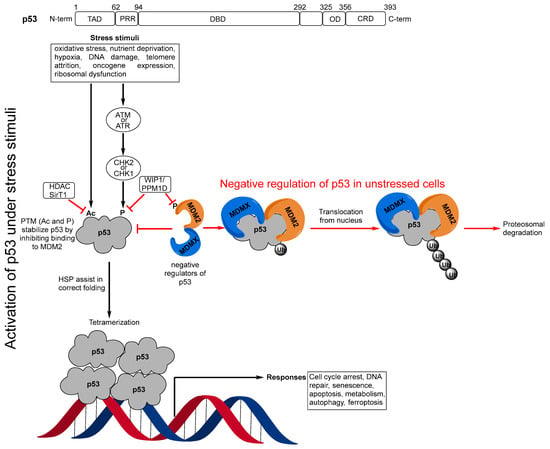 Pharmaceuticals | Free Full-Text | Therapeutic Strategies to