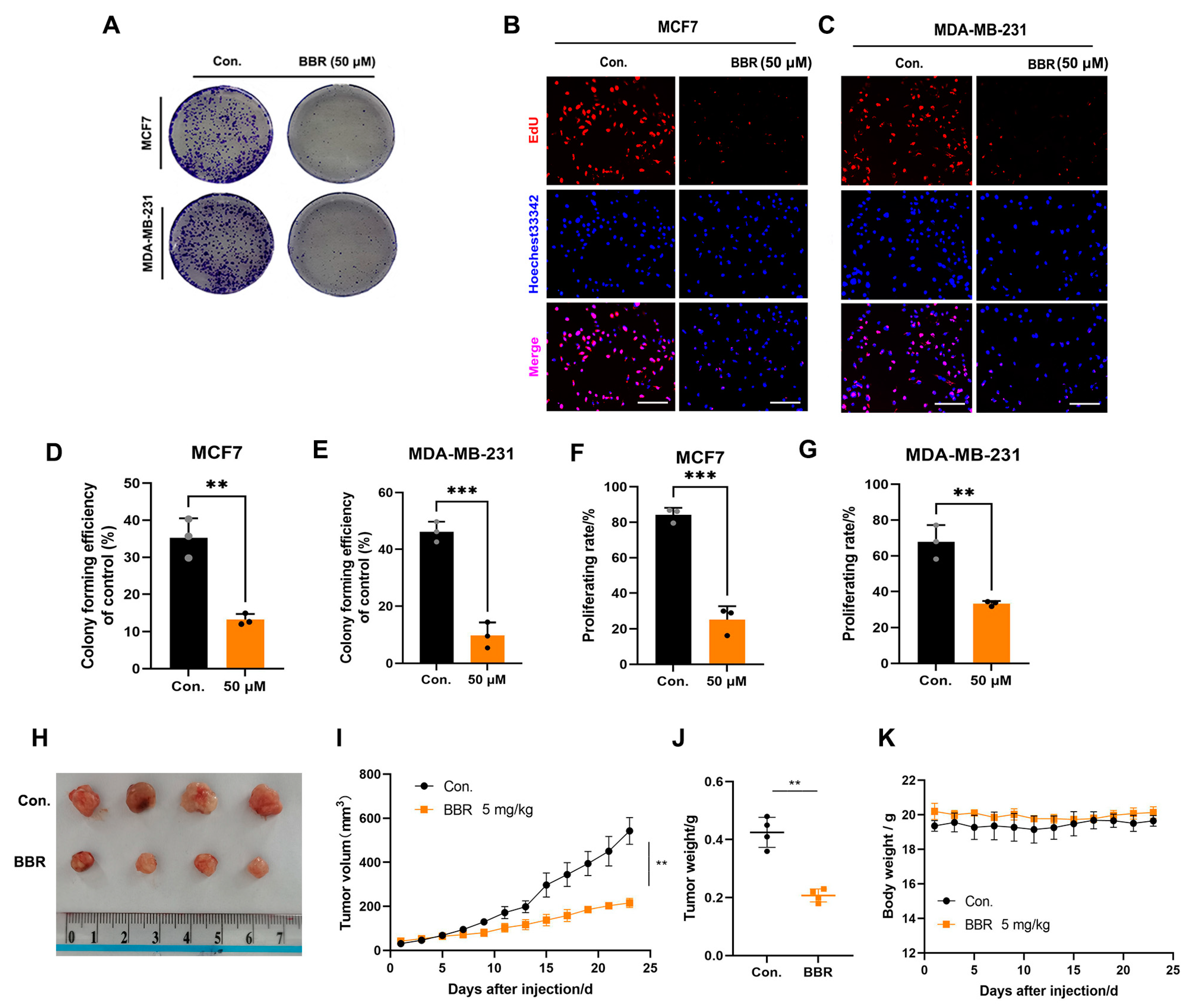 Pharmaceuticals 16 00042 g002