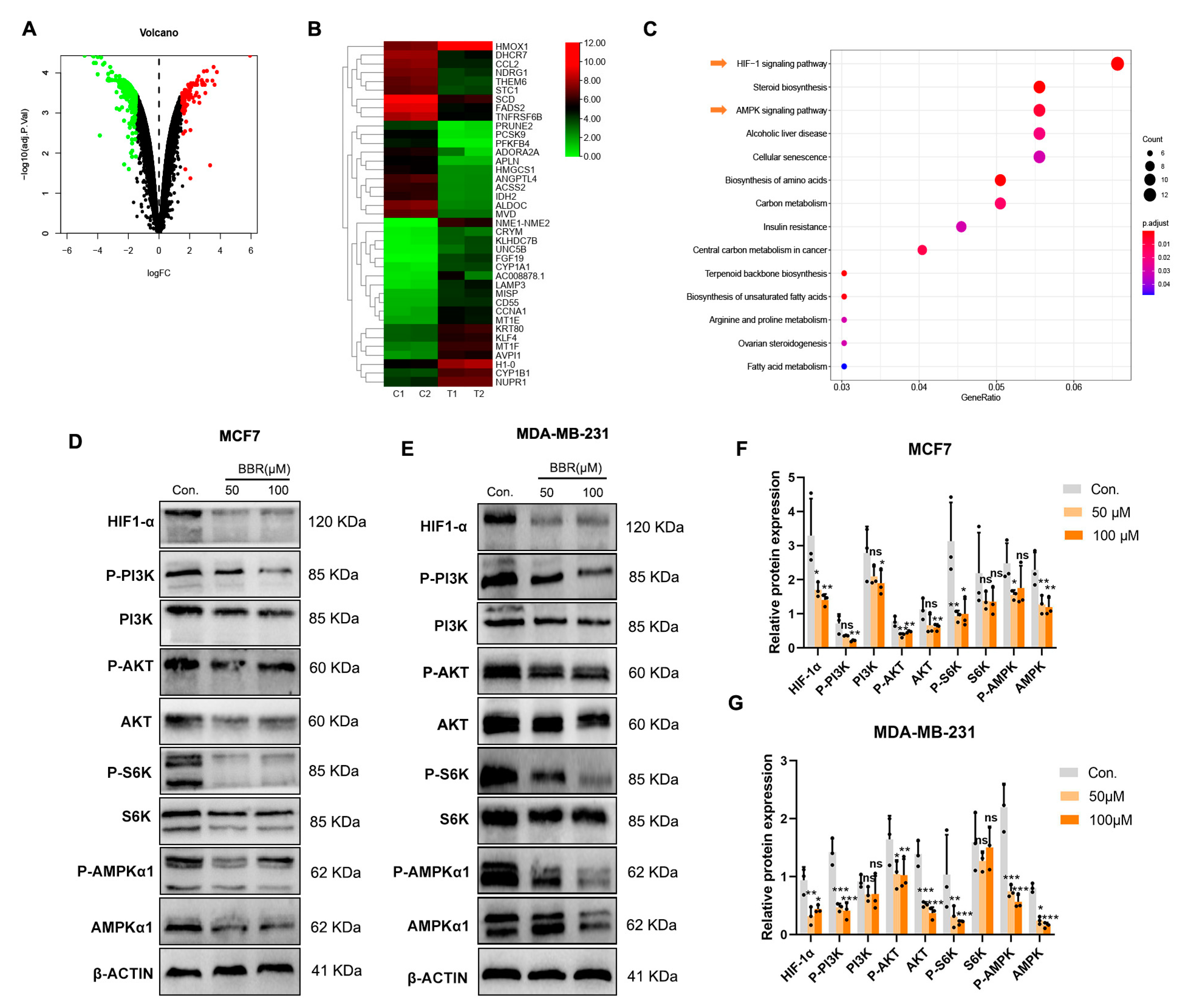Pharmaceuticals 16 00042 g003