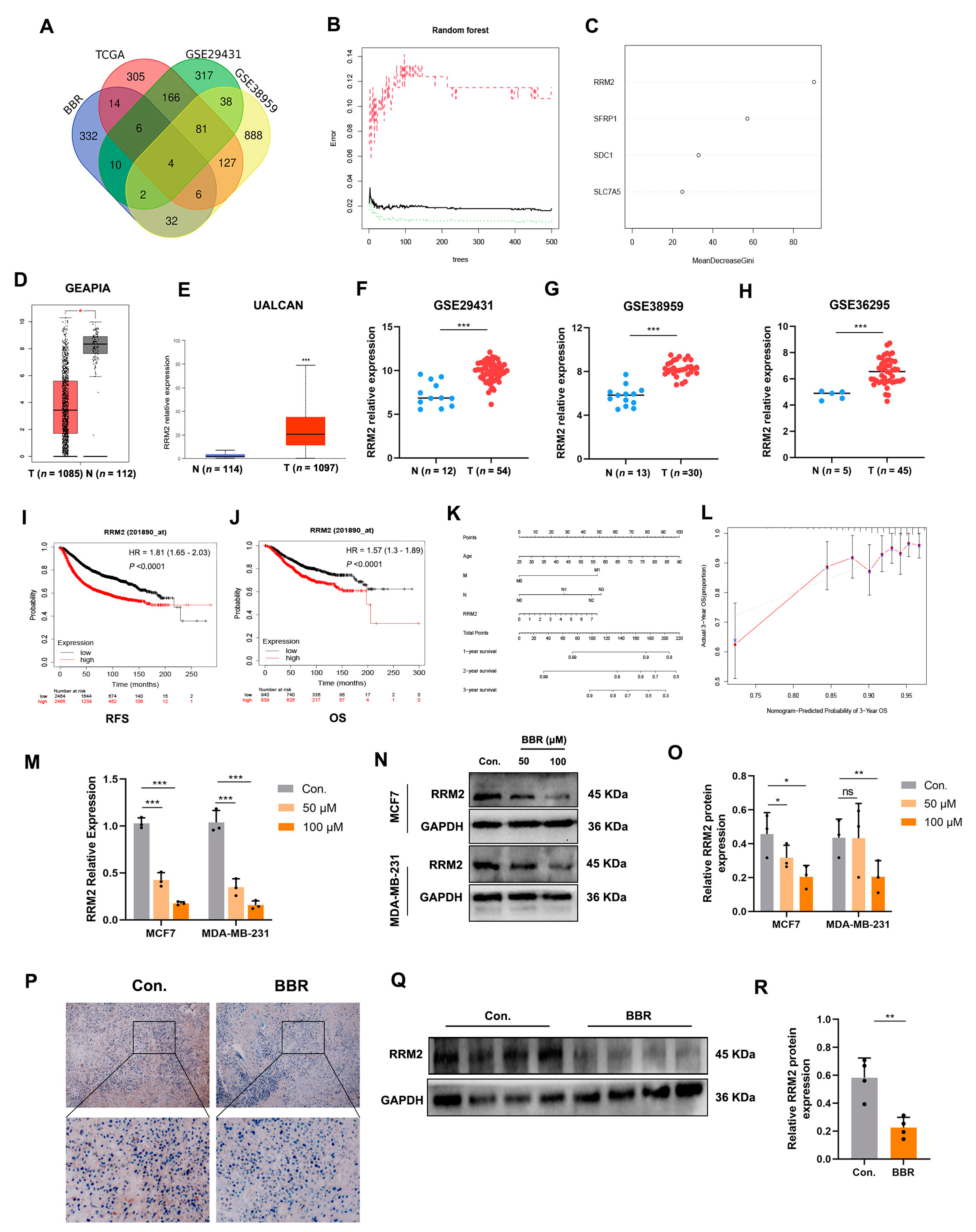 Pharmaceuticals 16 00042 g004