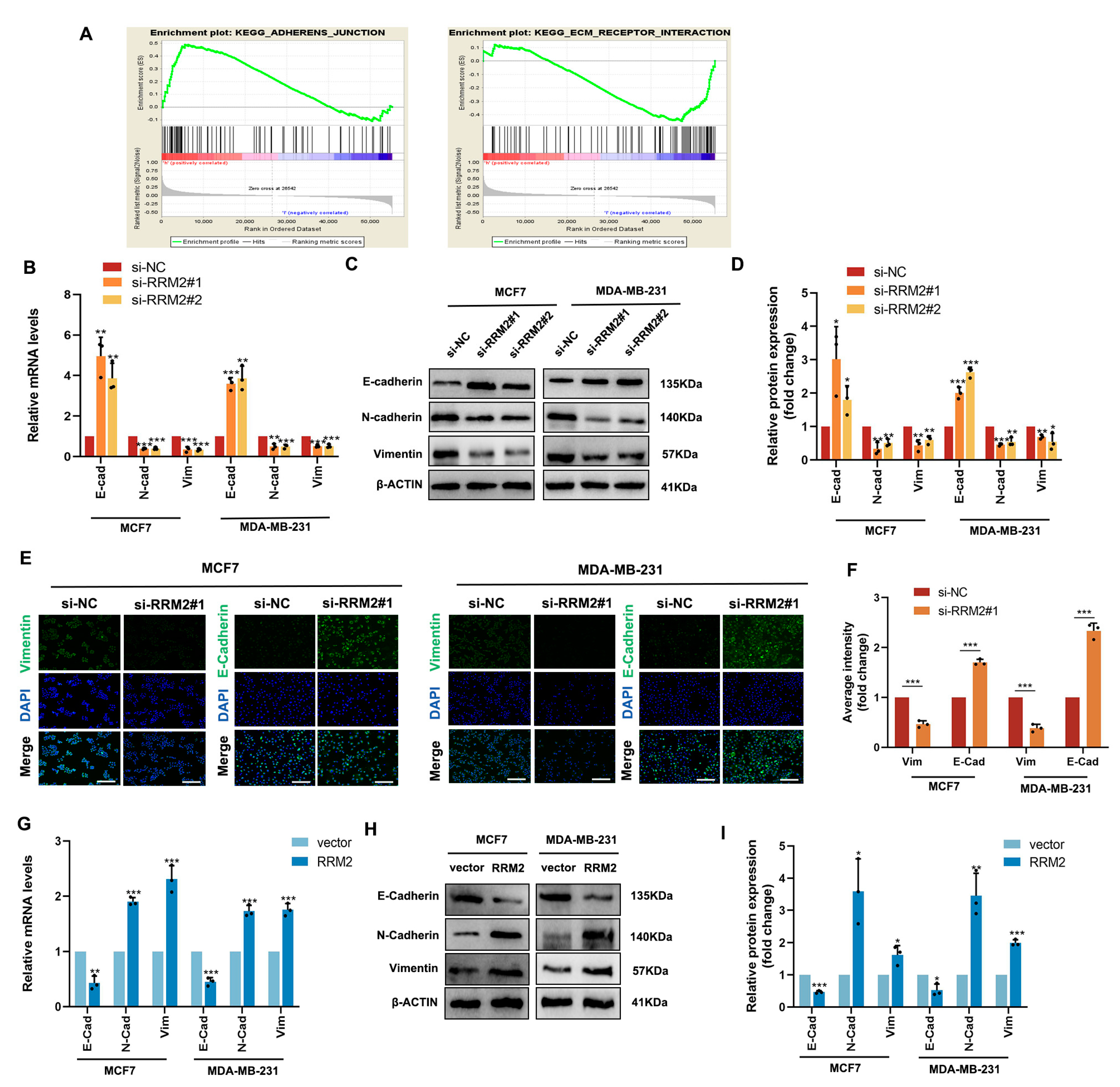 Pharmaceuticals 16 00042 g007