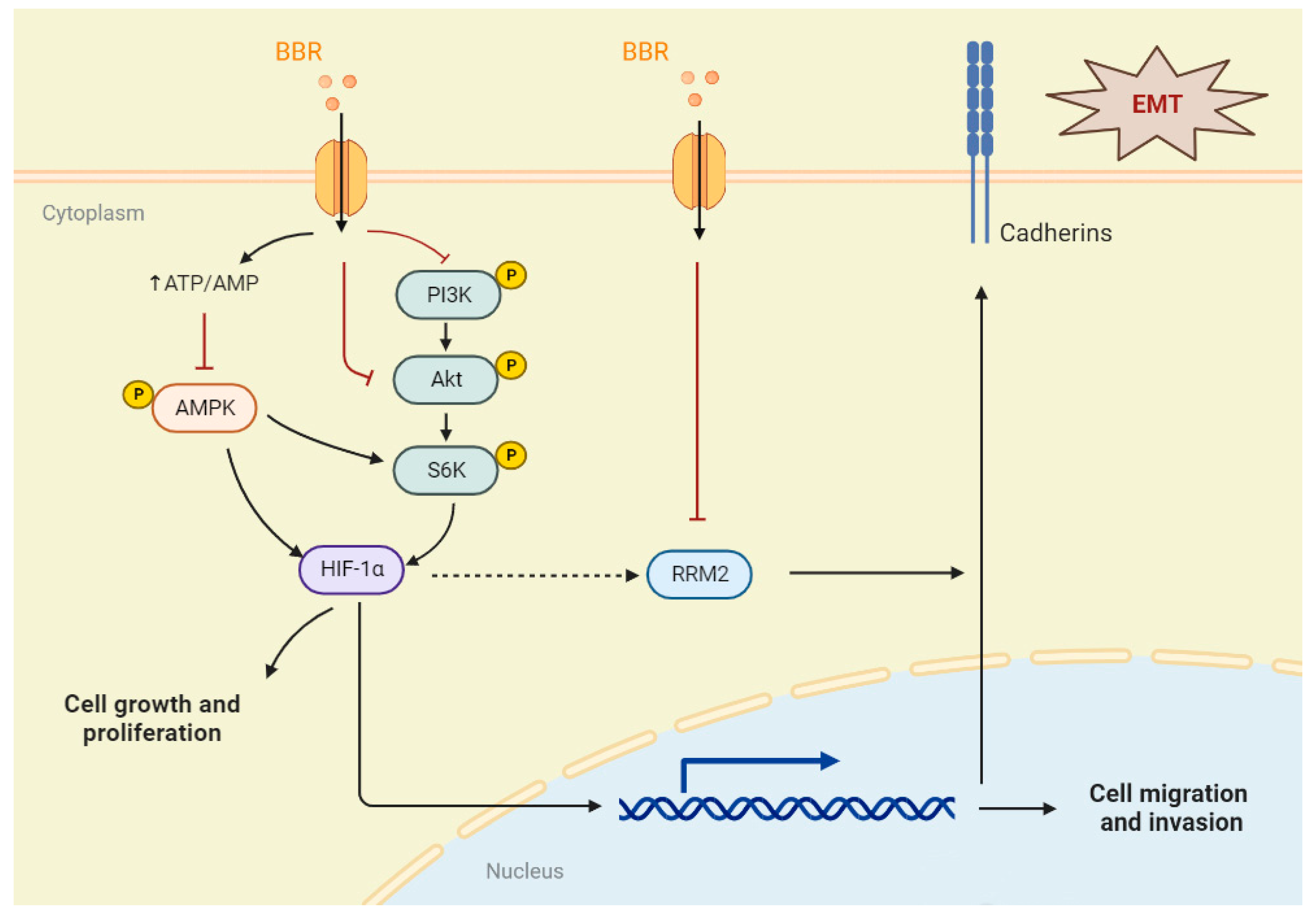 Pharmaceuticals 16 00042 g008