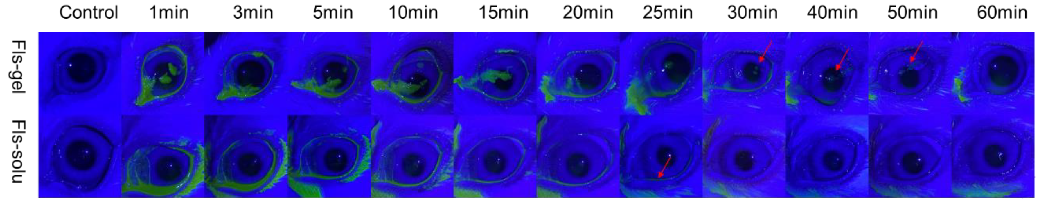 Pharmaceuticals 16 00090 g006