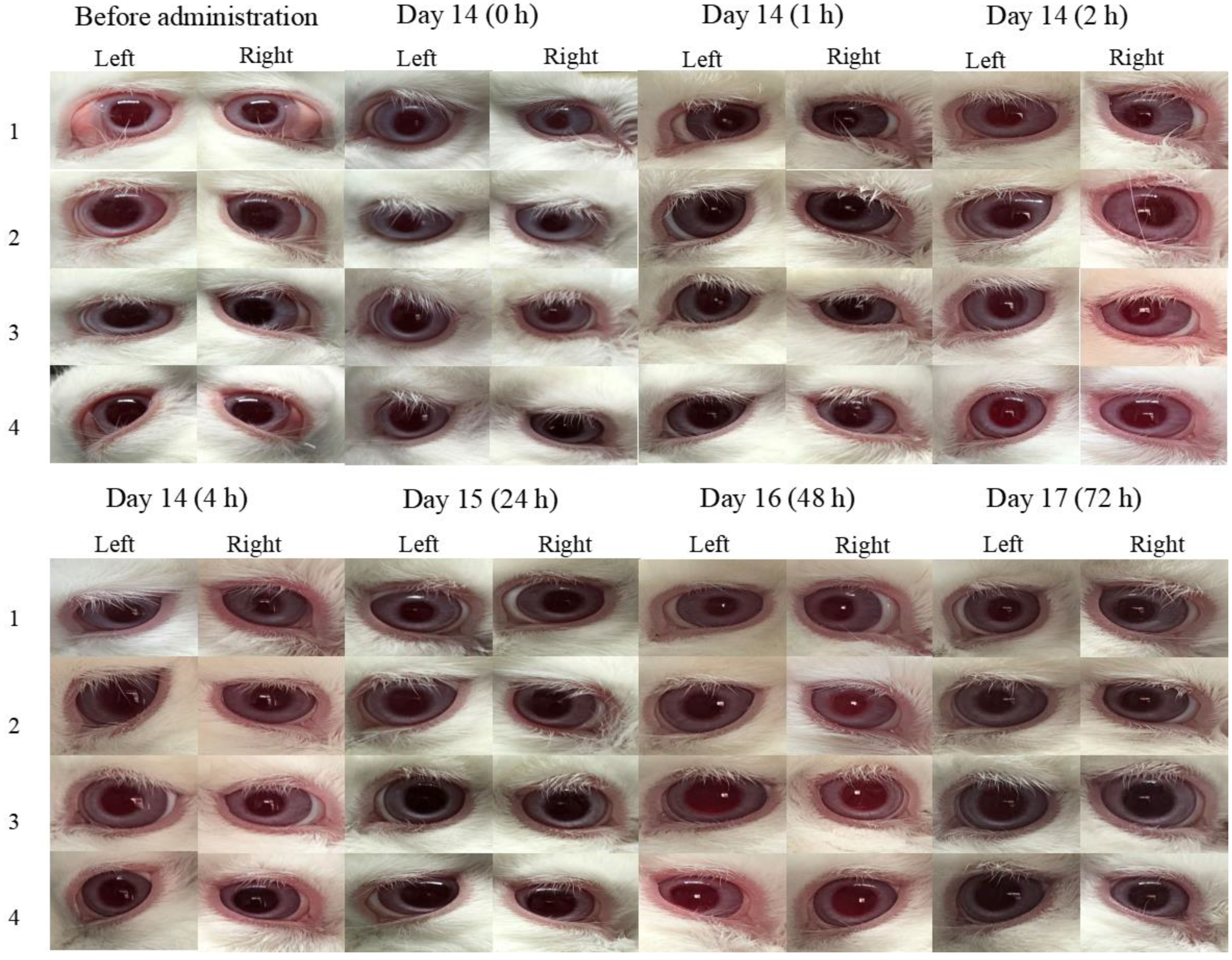 Pharmaceuticals 16 00090 g007