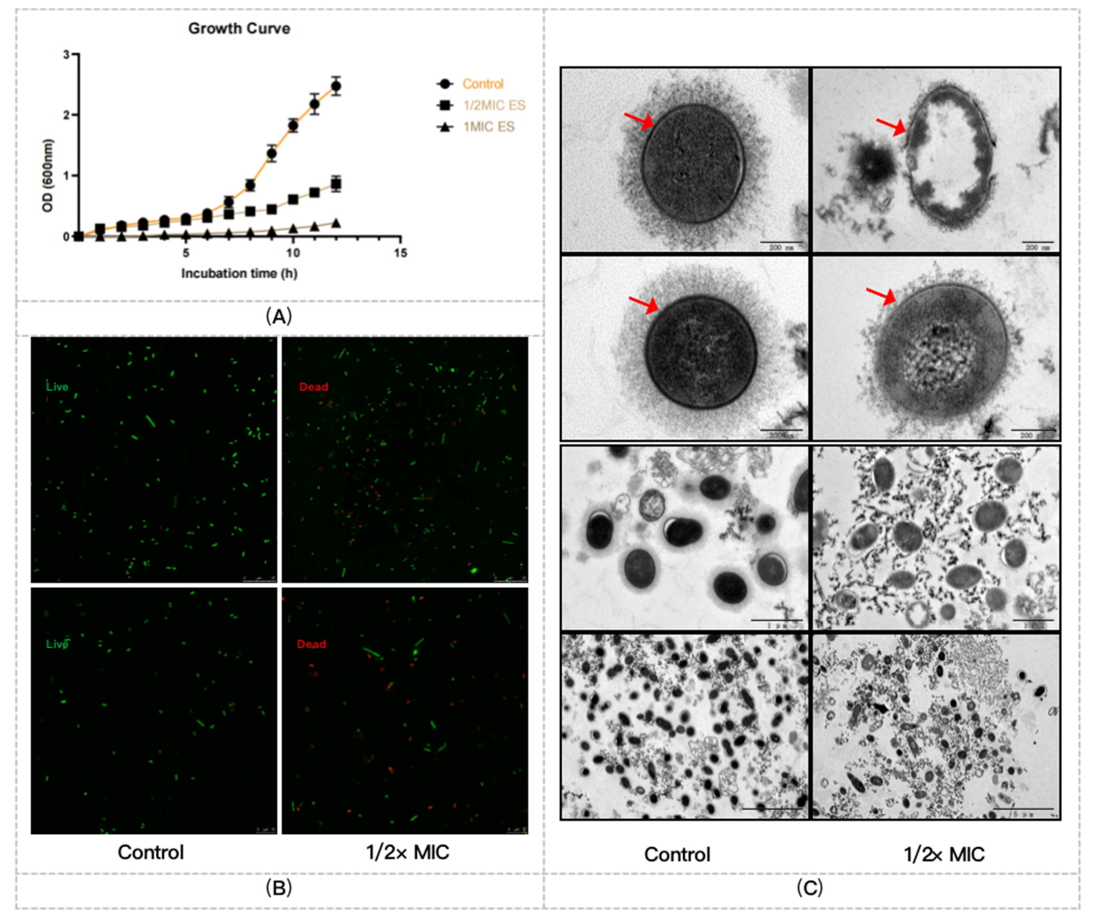 Pharmaceuticals 16 00105 g001