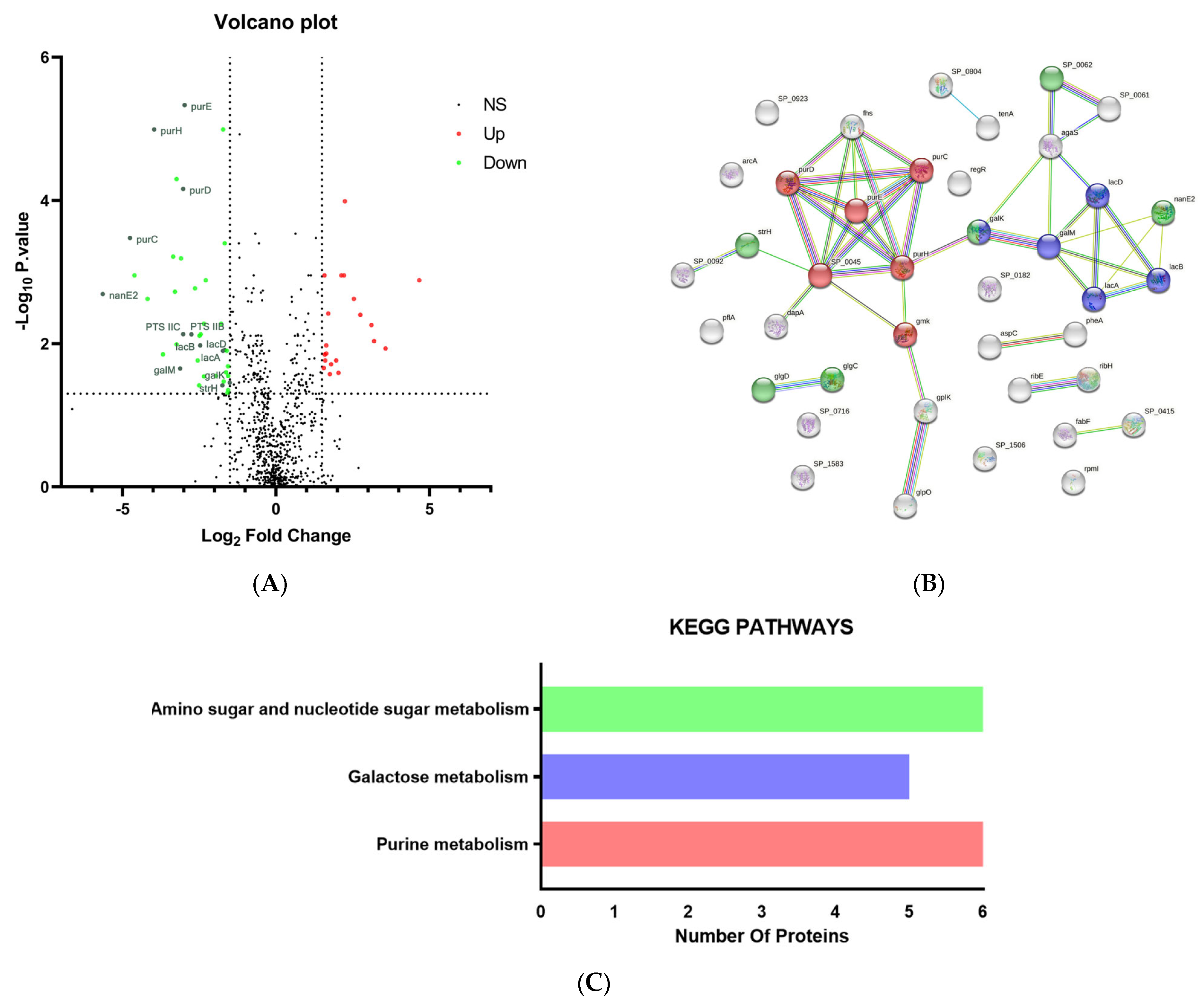 Pharmaceuticals 16 00105 g002