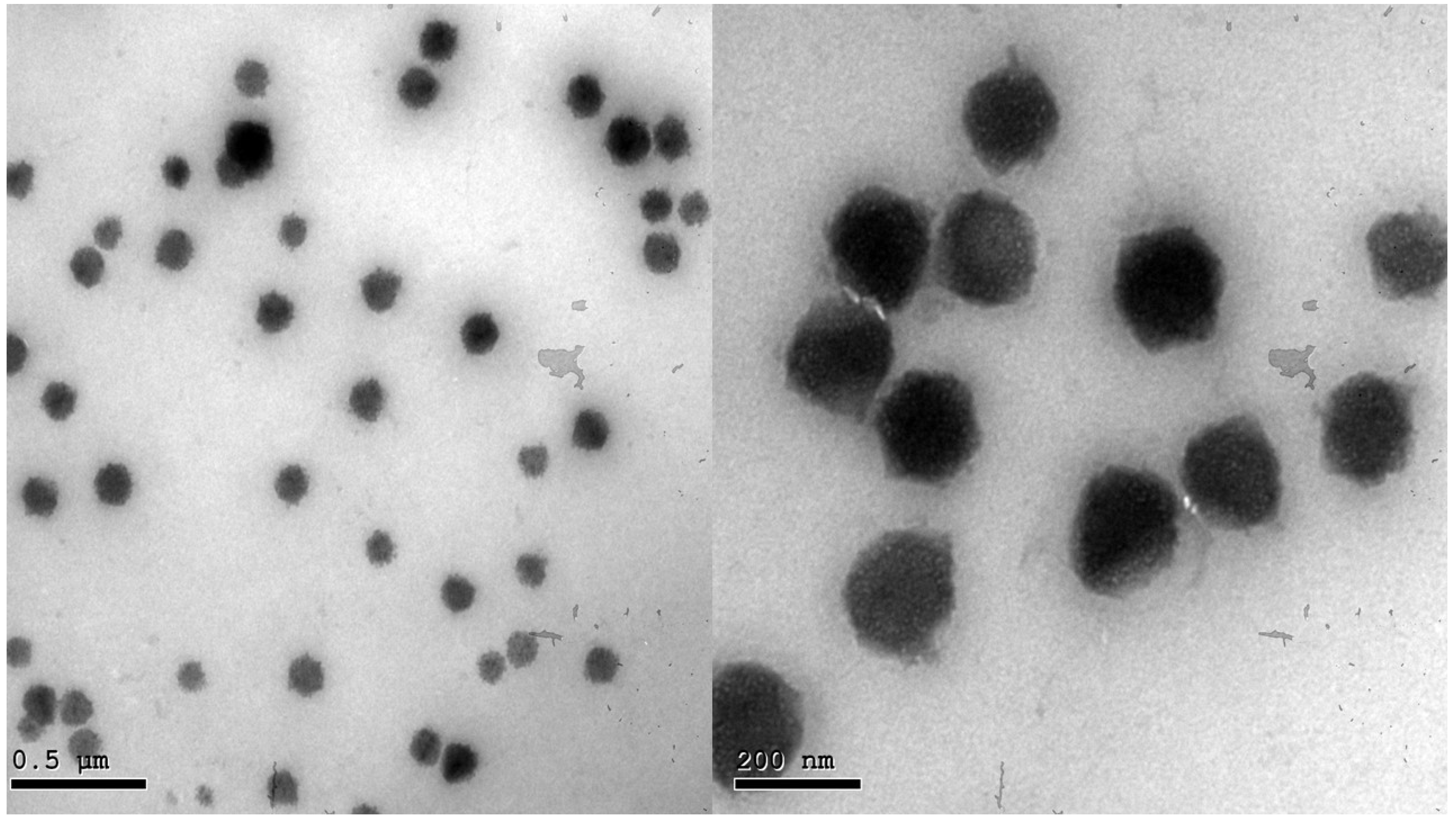 Pharmaceuticals 16 00128 g002