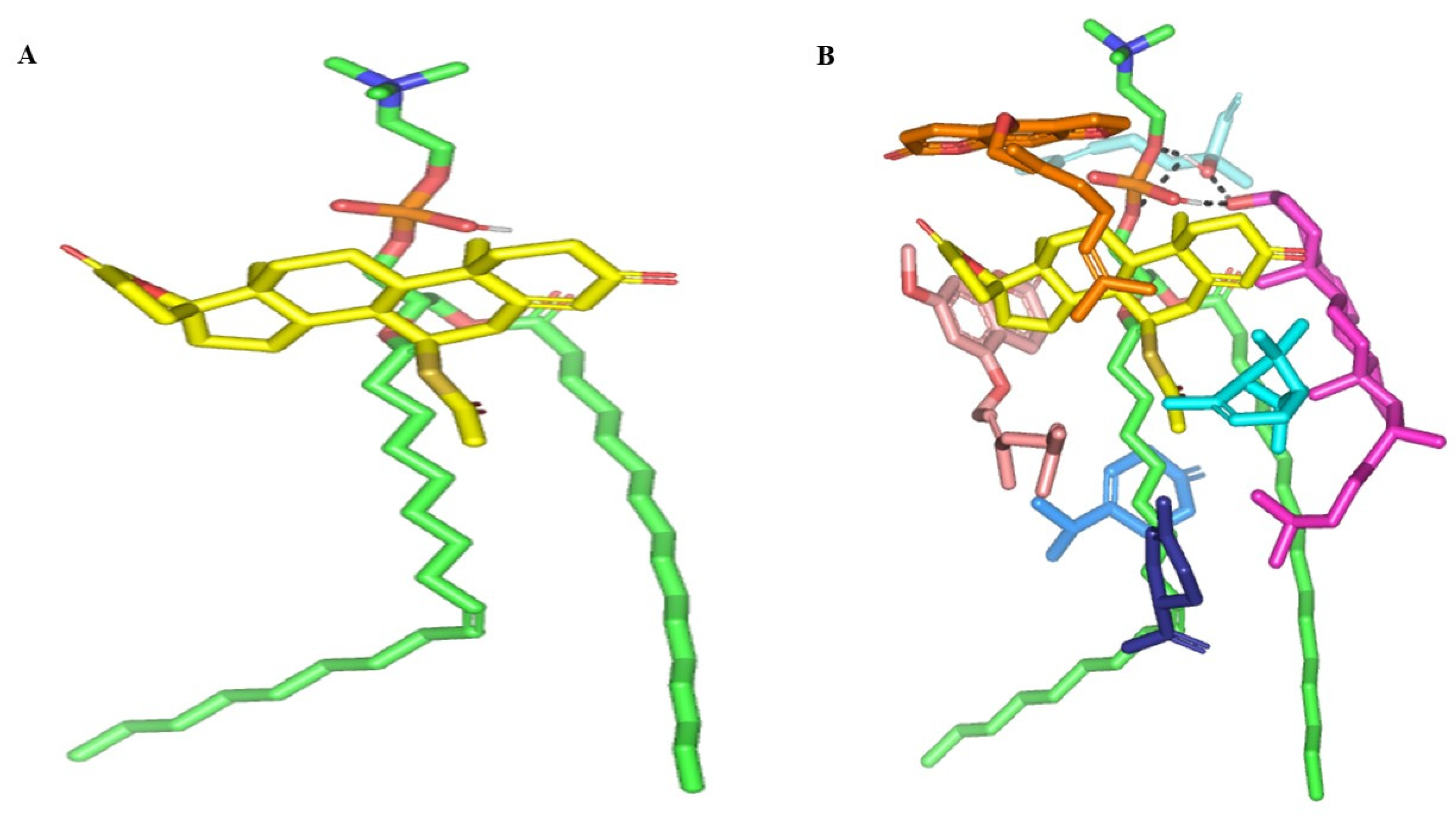 Pharmaceuticals 16 00128 g003