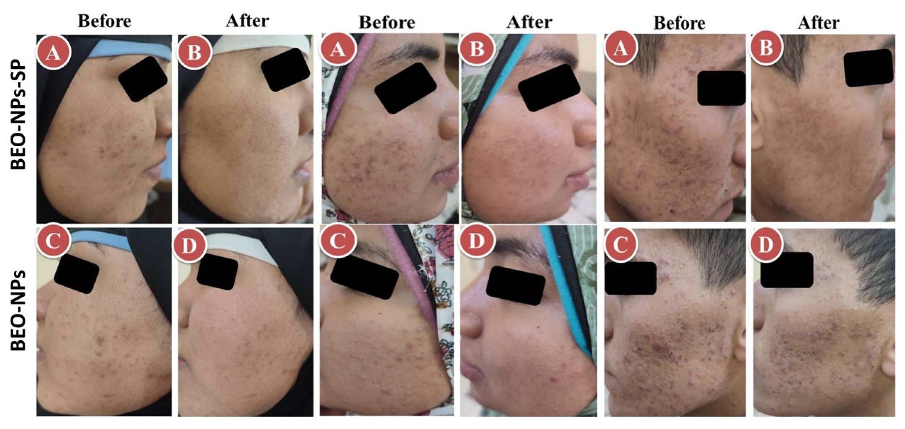 Pharmaceuticals 16 00128 g006