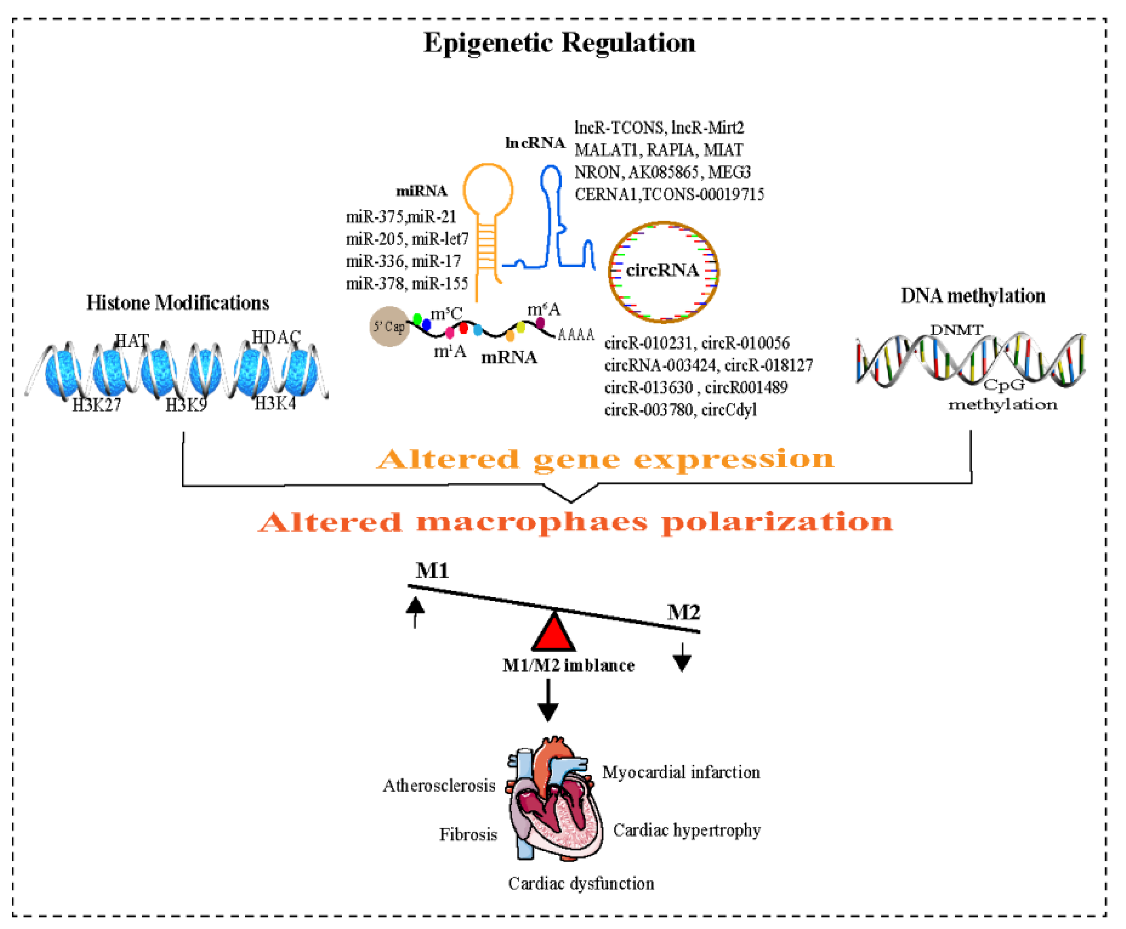 Pharmaceuticals 16 00141 g002 Pharmaceuticals 16 00141 g002