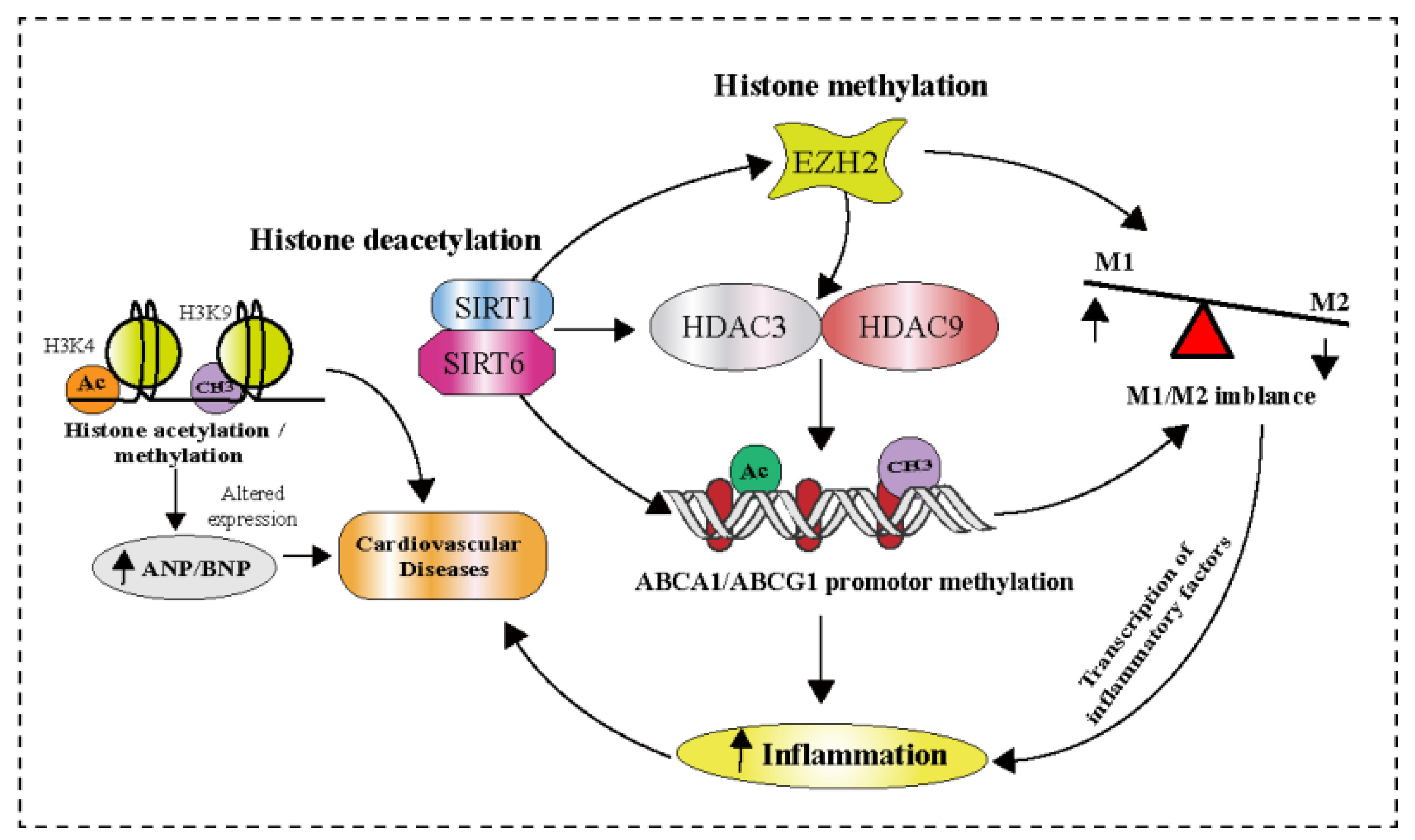 Pharmaceuticals 16 00141 g004 Pharmaceuticals 16 00141 g004