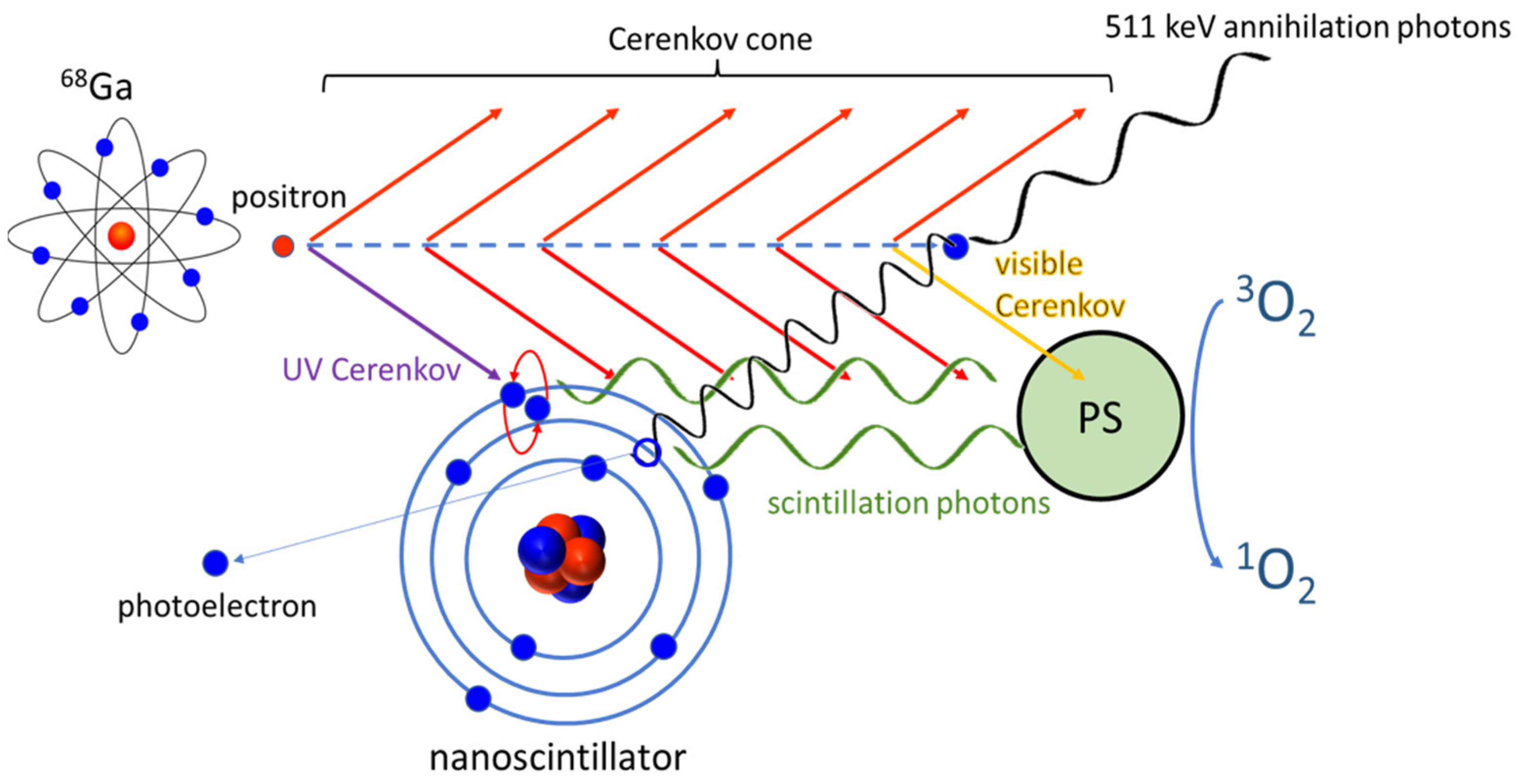 Pharmaceuticals 16 00143 sch001