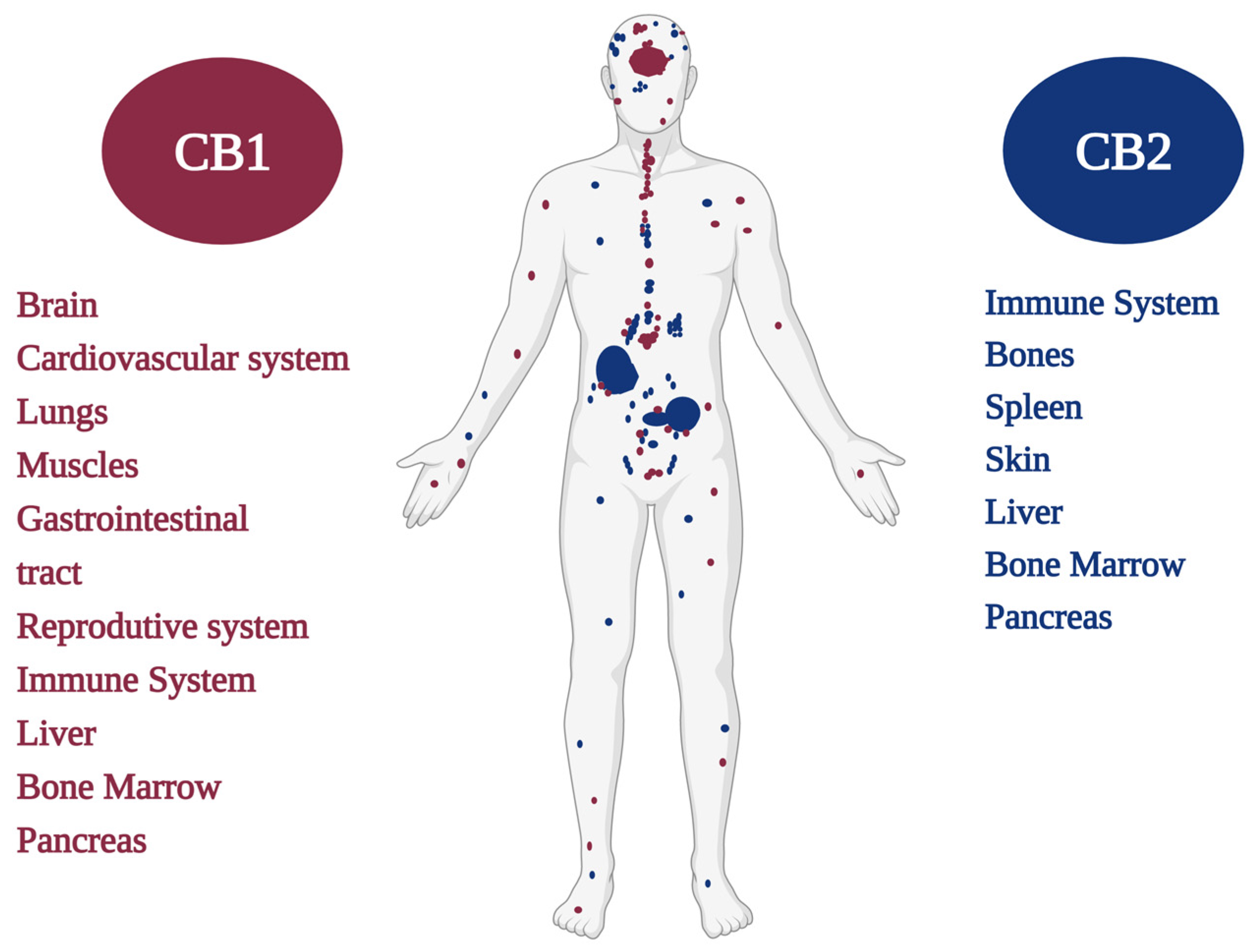 Pharmaceuticals 16 00148 g001