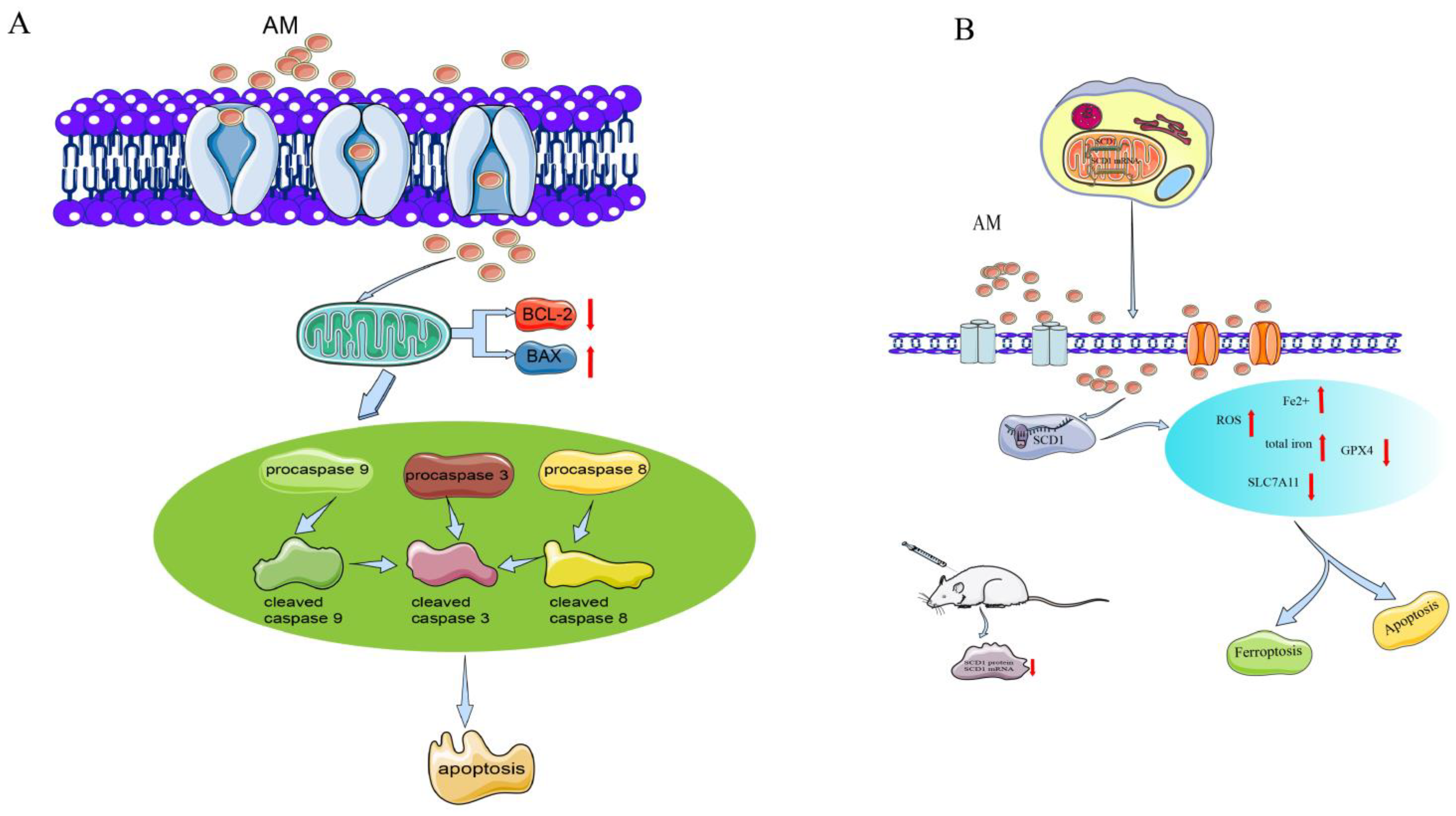 Pharmaceuticals 16 00150 g003 Pharmaceuticals 16 00150 g003