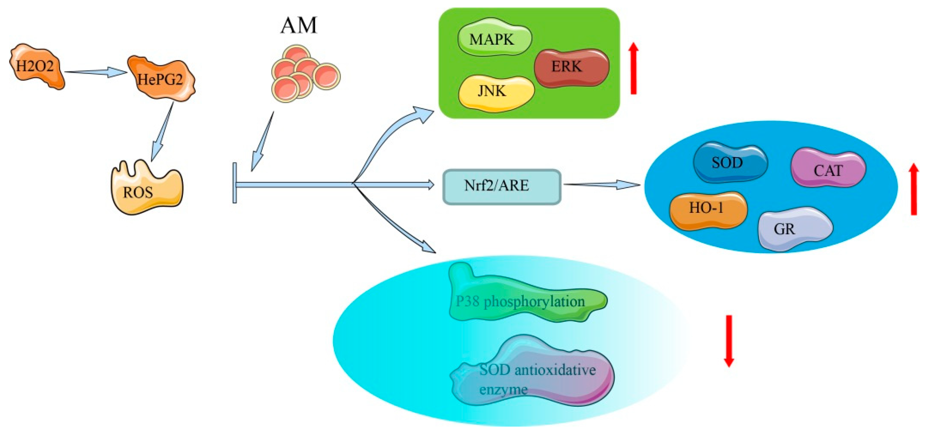 Pharmaceuticals 16 00150 g004 Pharmaceuticals 16 00150 g004