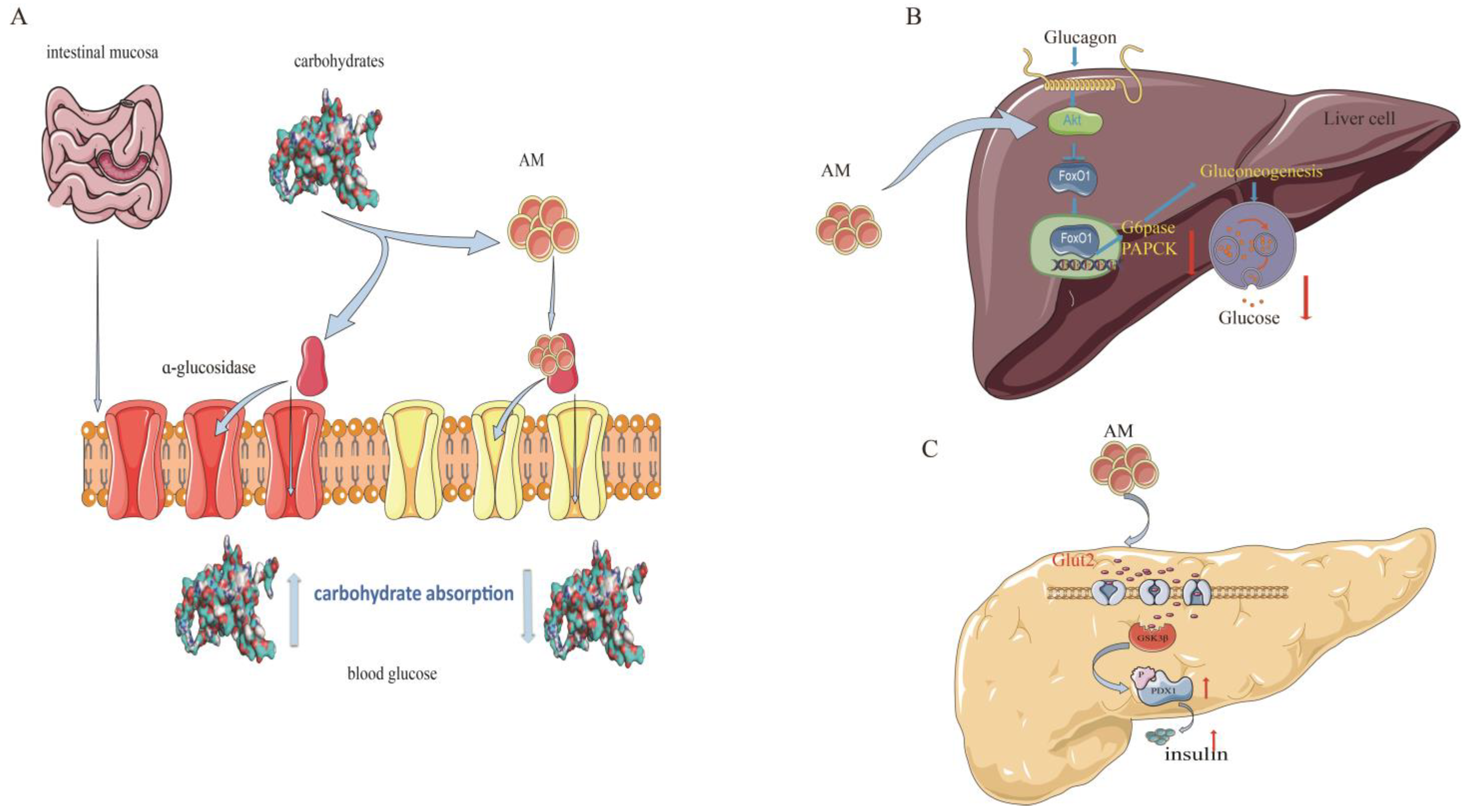 Pharmaceuticals 16 00150 g005 Pharmaceuticals 16 00150 g005