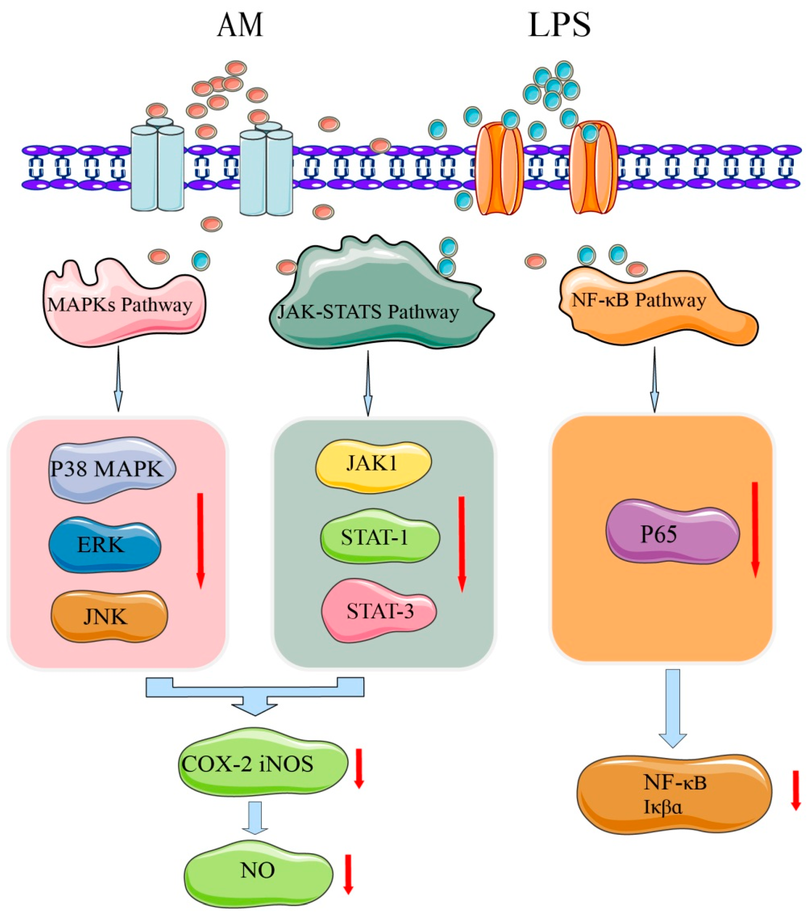 Pharmaceuticals 16 00150 g006 Pharmaceuticals 16 00150 g006