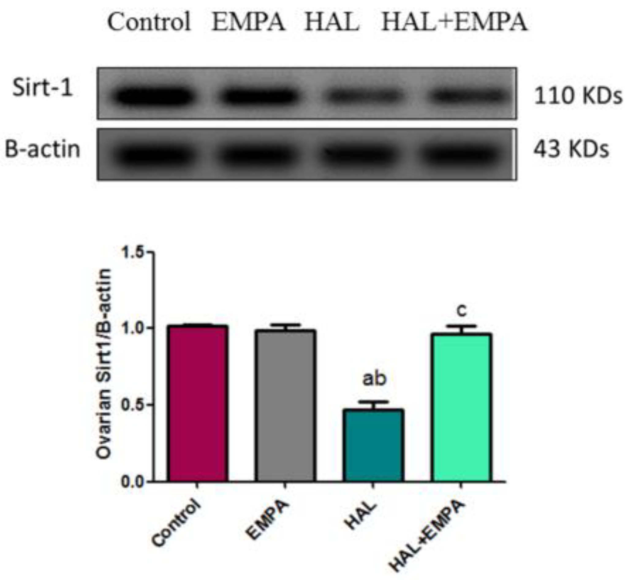Pharmaceuticals 16 00168 g001