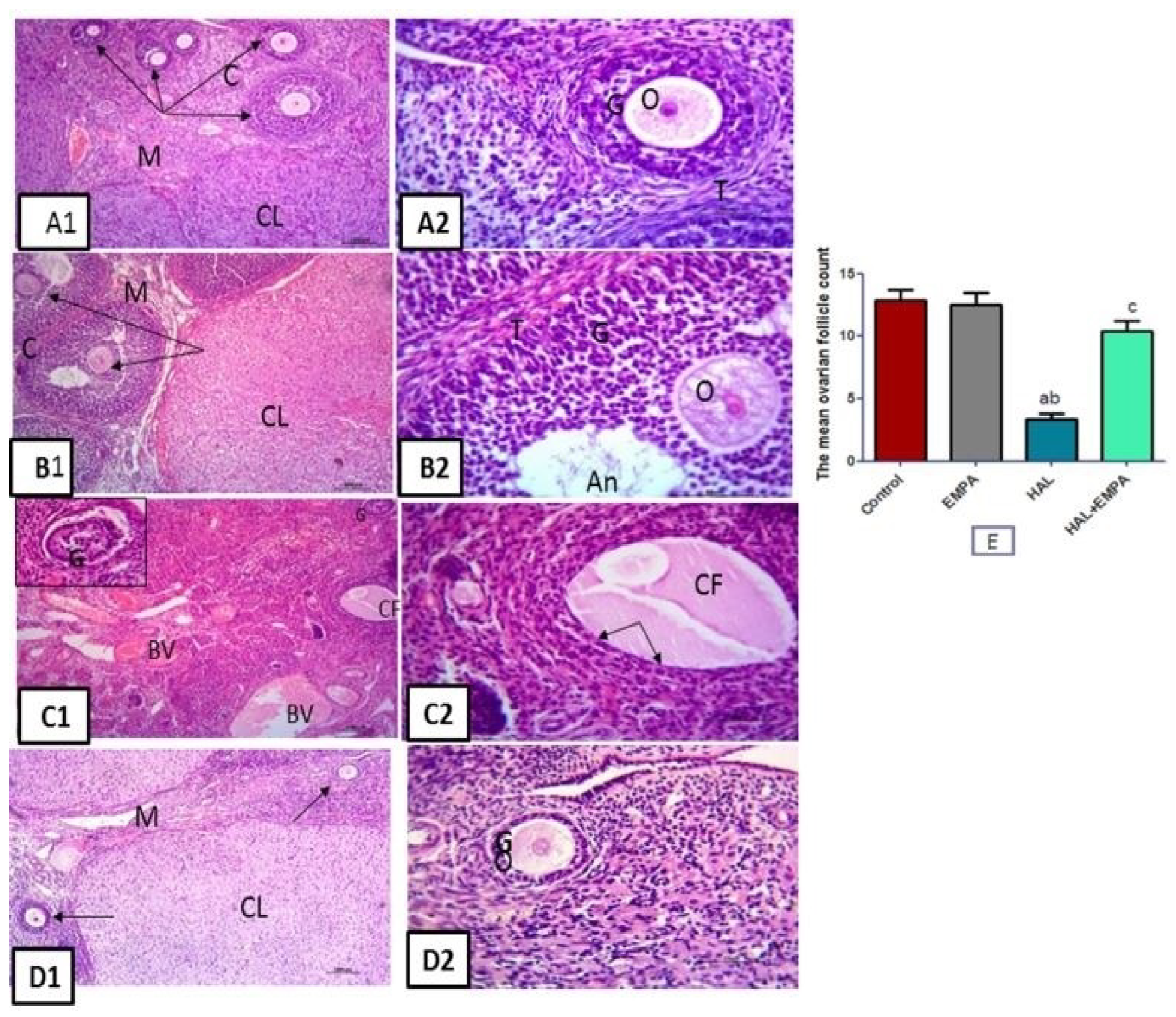 Pharmaceuticals 16 00168 g002