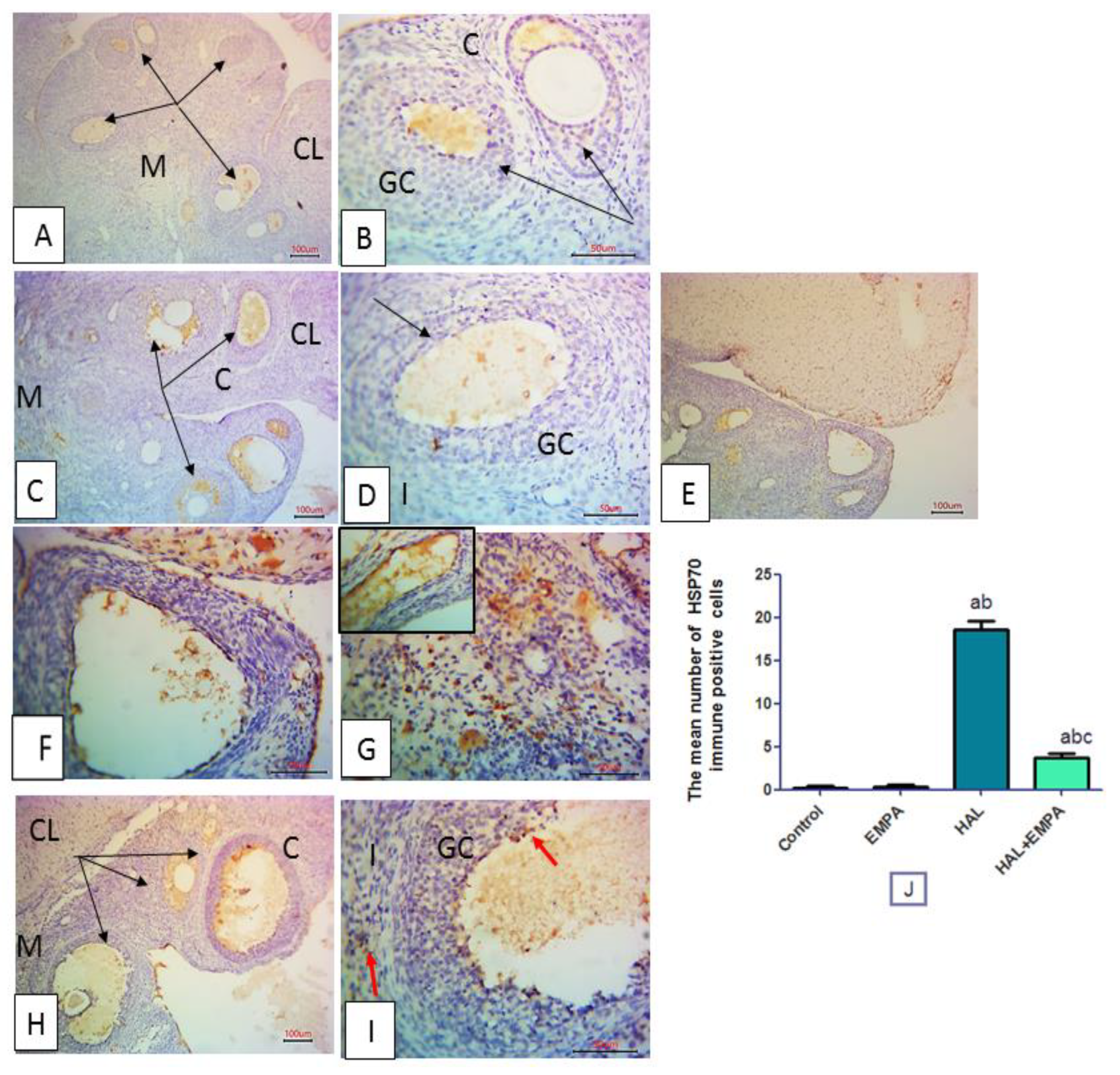Pharmaceuticals 16 00168 g003