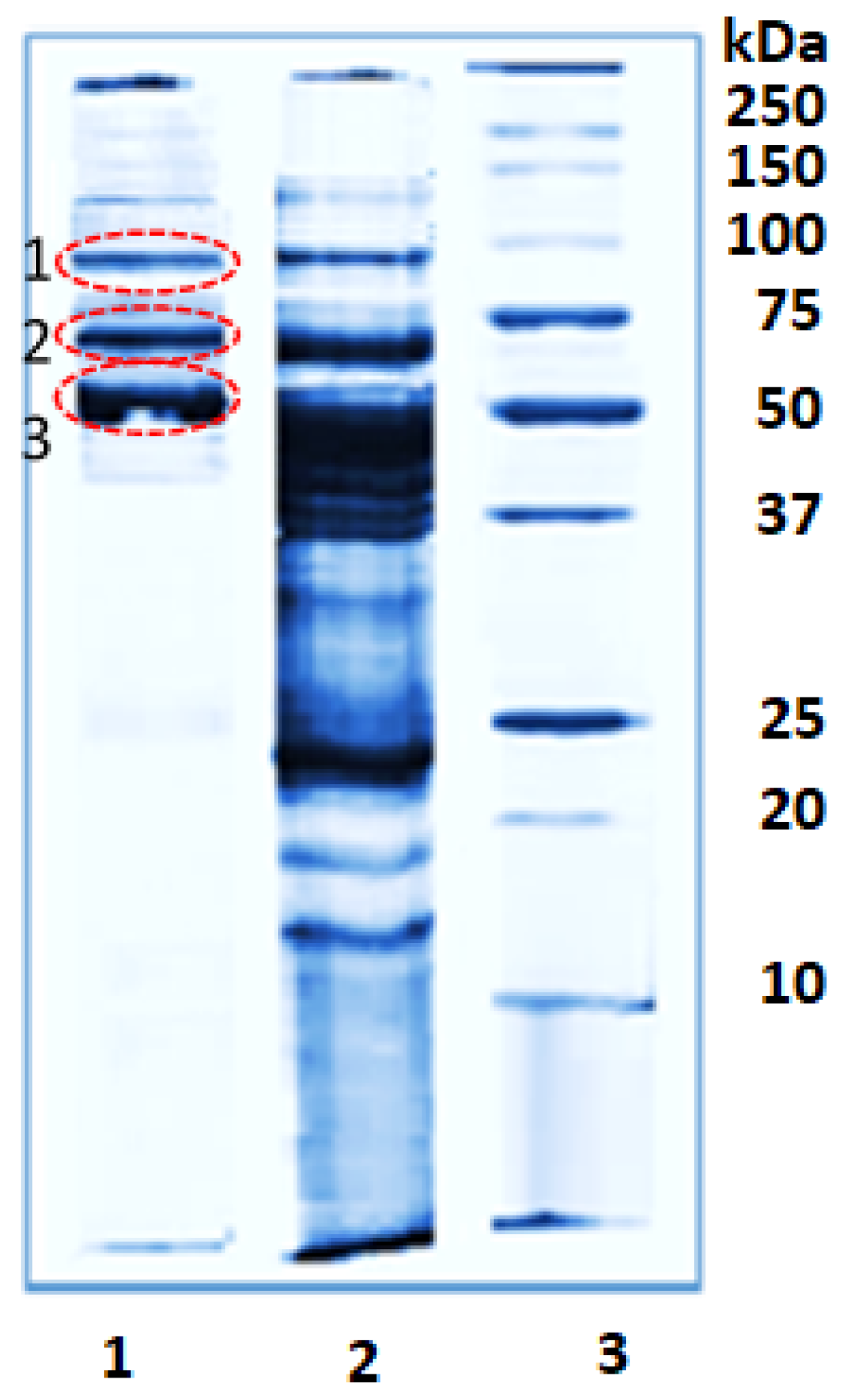 Pharmaceuticals 16 00181 g001 Pharmaceuticals 16 00181 g001