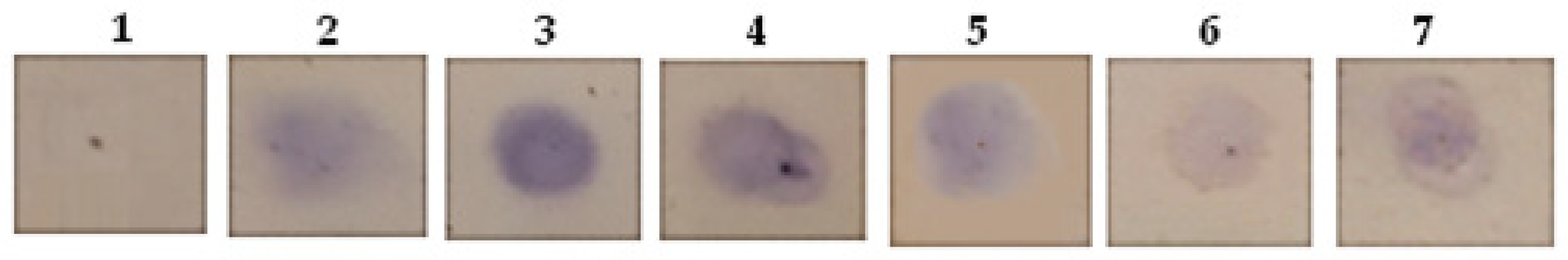 Pharmaceuticals 16 00181 g002 Pharmaceuticals 16 00181 g002