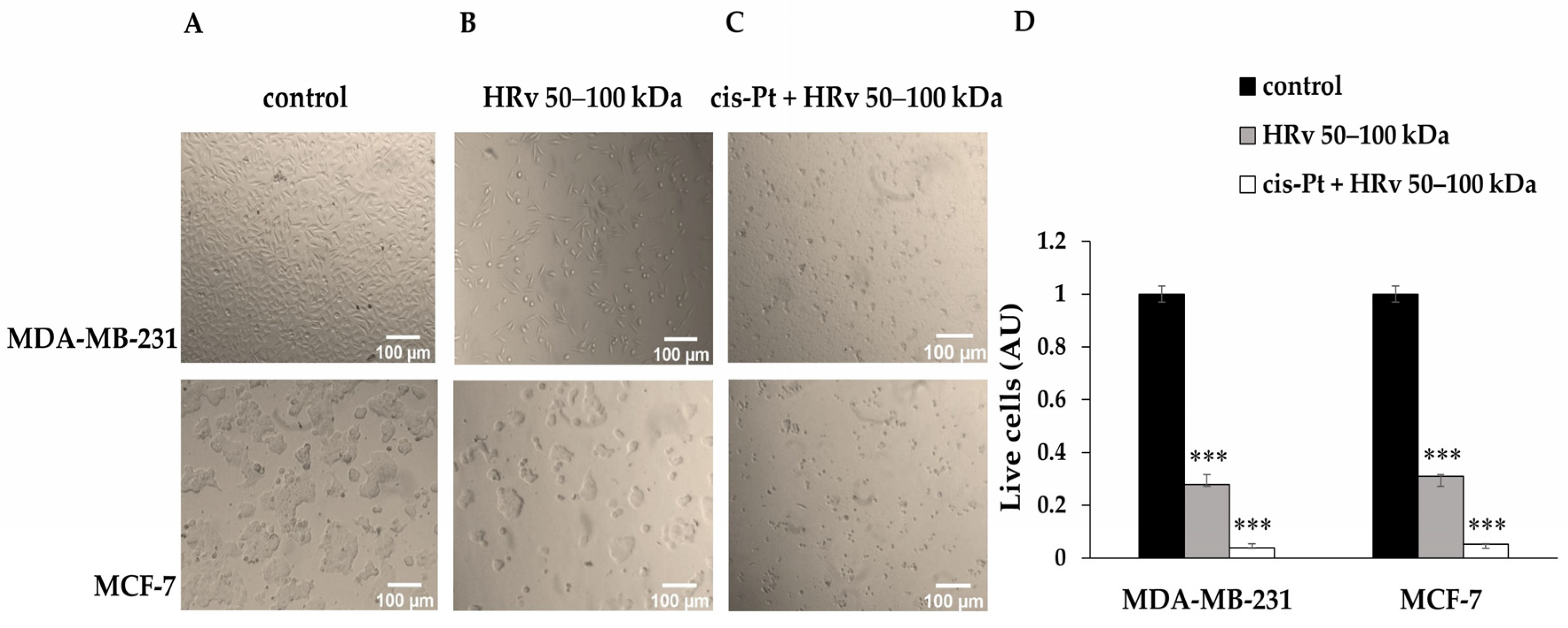Pharmaceuticals 16 00181 g006 Pharmaceuticals 16 00181 g006
